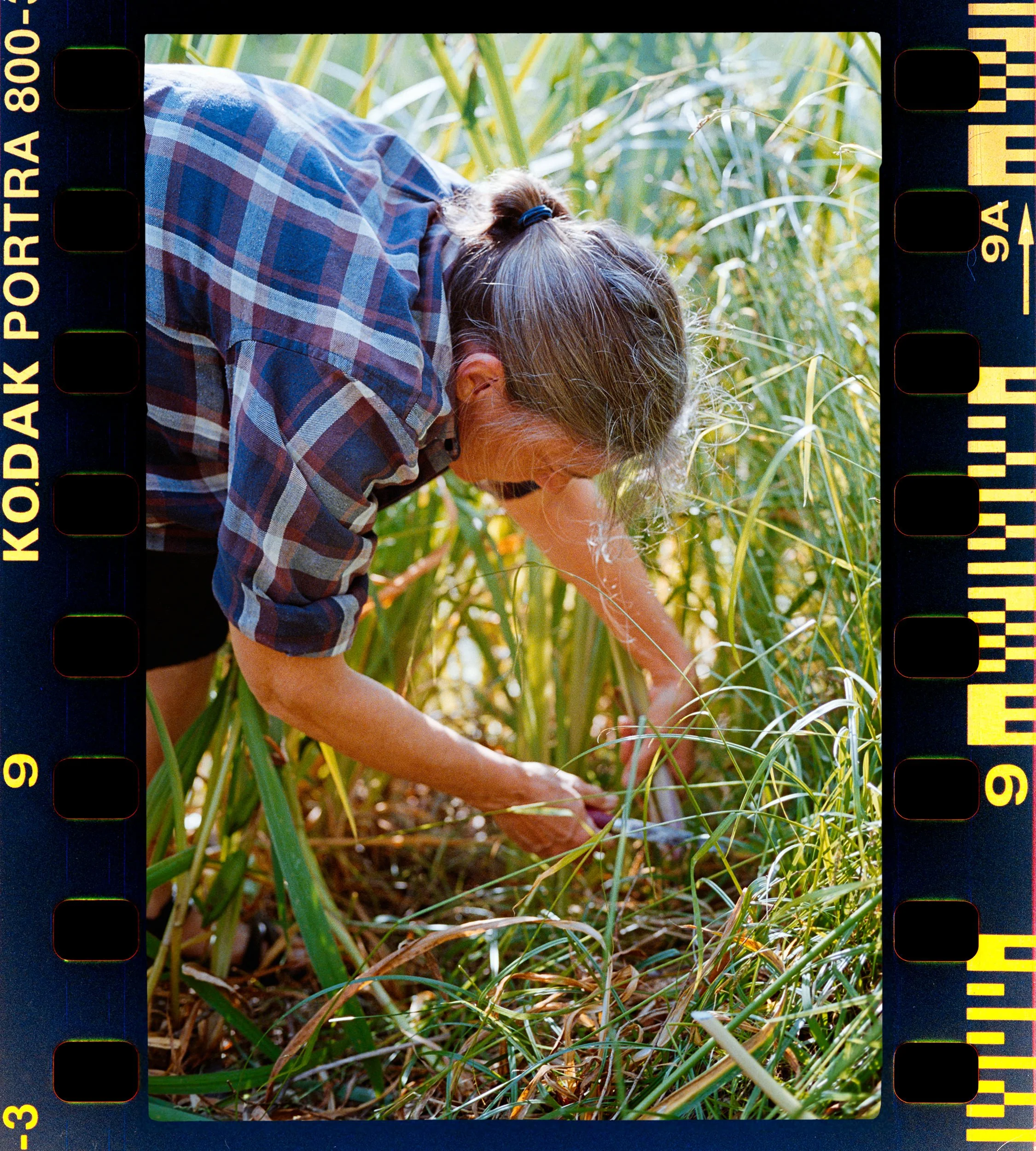 RFerand_C69_Elan7_Portra800_31-Joan Carrigan-HD.jpg