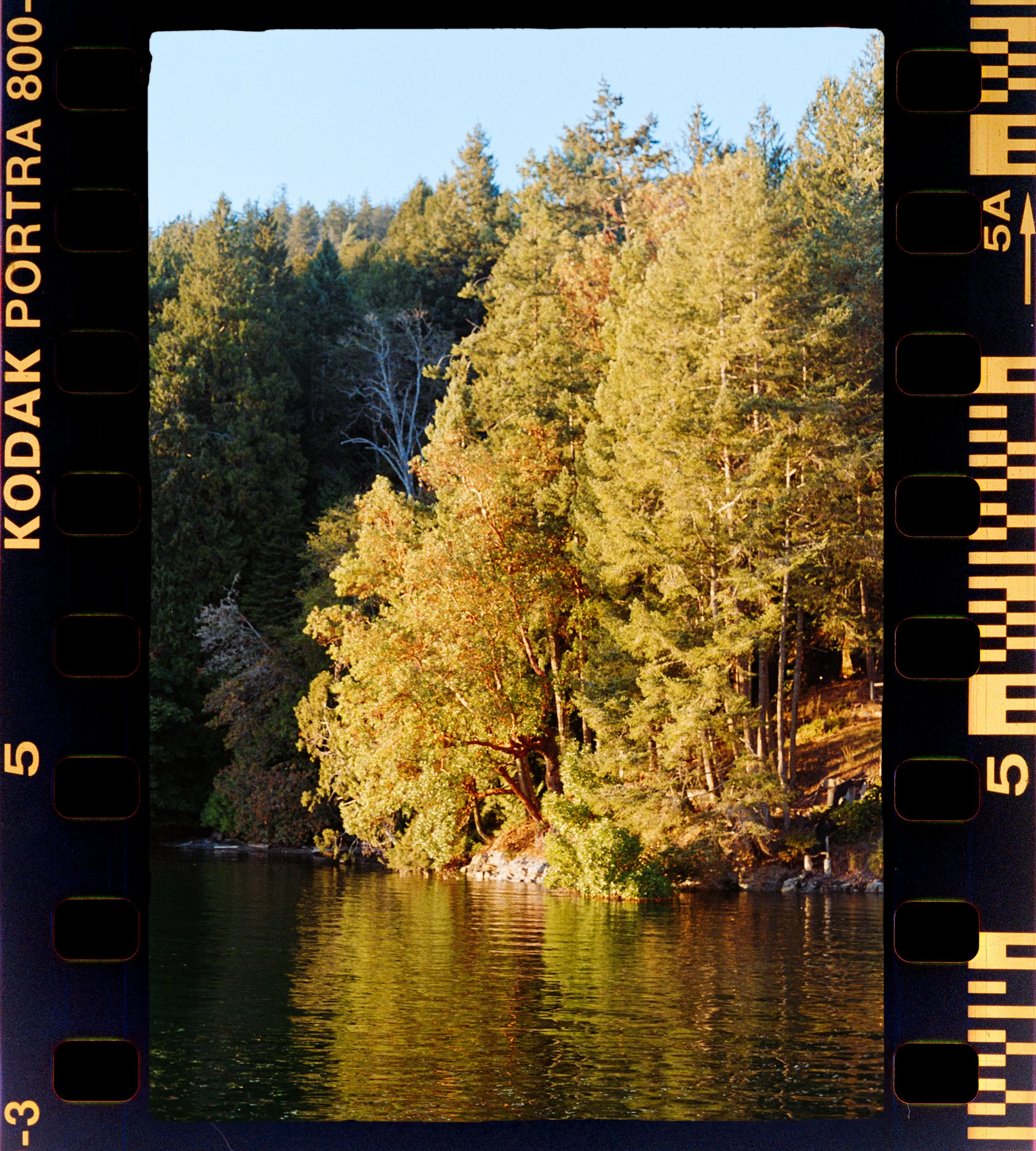 RFerand_C69_Elan7_Portra800_19-Salt Spring Island-HD.jpg