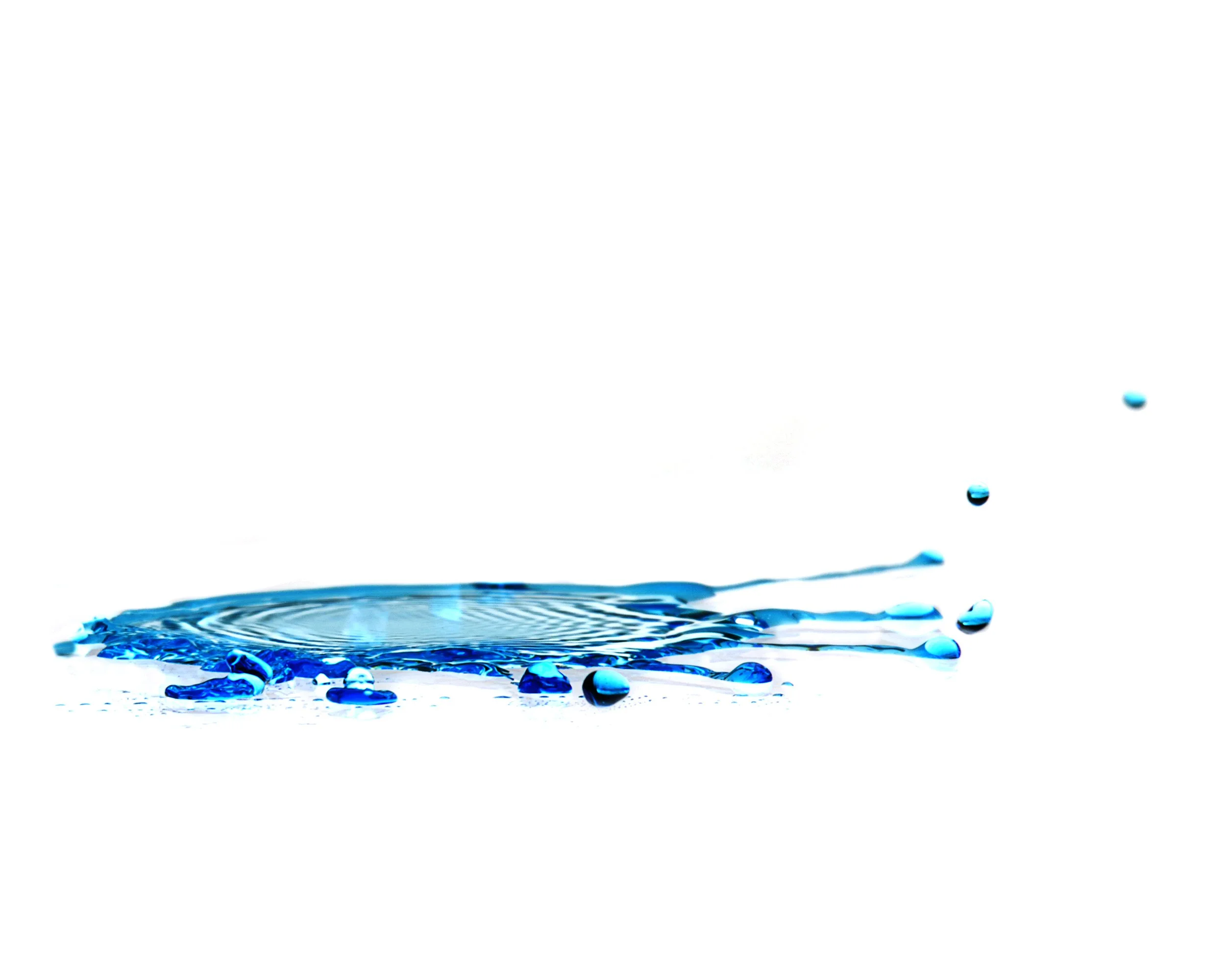 Deeannaestell_white background photography_003.jpg