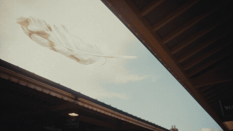 Harry Potter 25th Anniversary