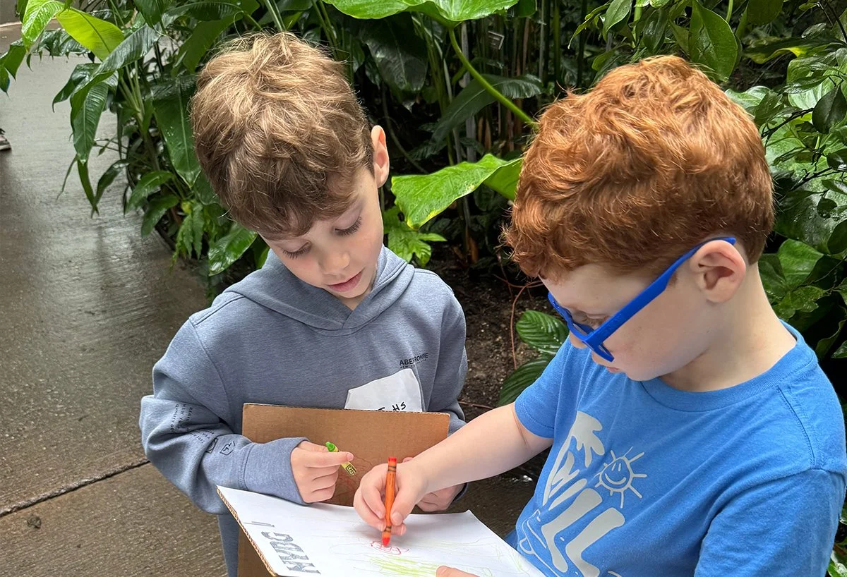 Kindergarten Visits Botanical gardens