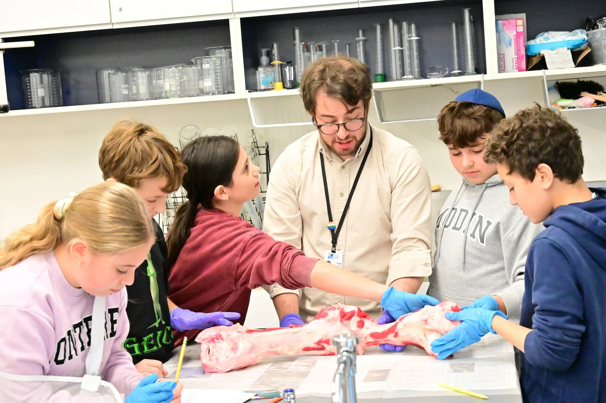 Grade 6 students are really boning up on their science knowledge! By observing, drawing, and examining cow bones, students learned how to recognize tendons, spongy bone, muscles, joints, and more.
