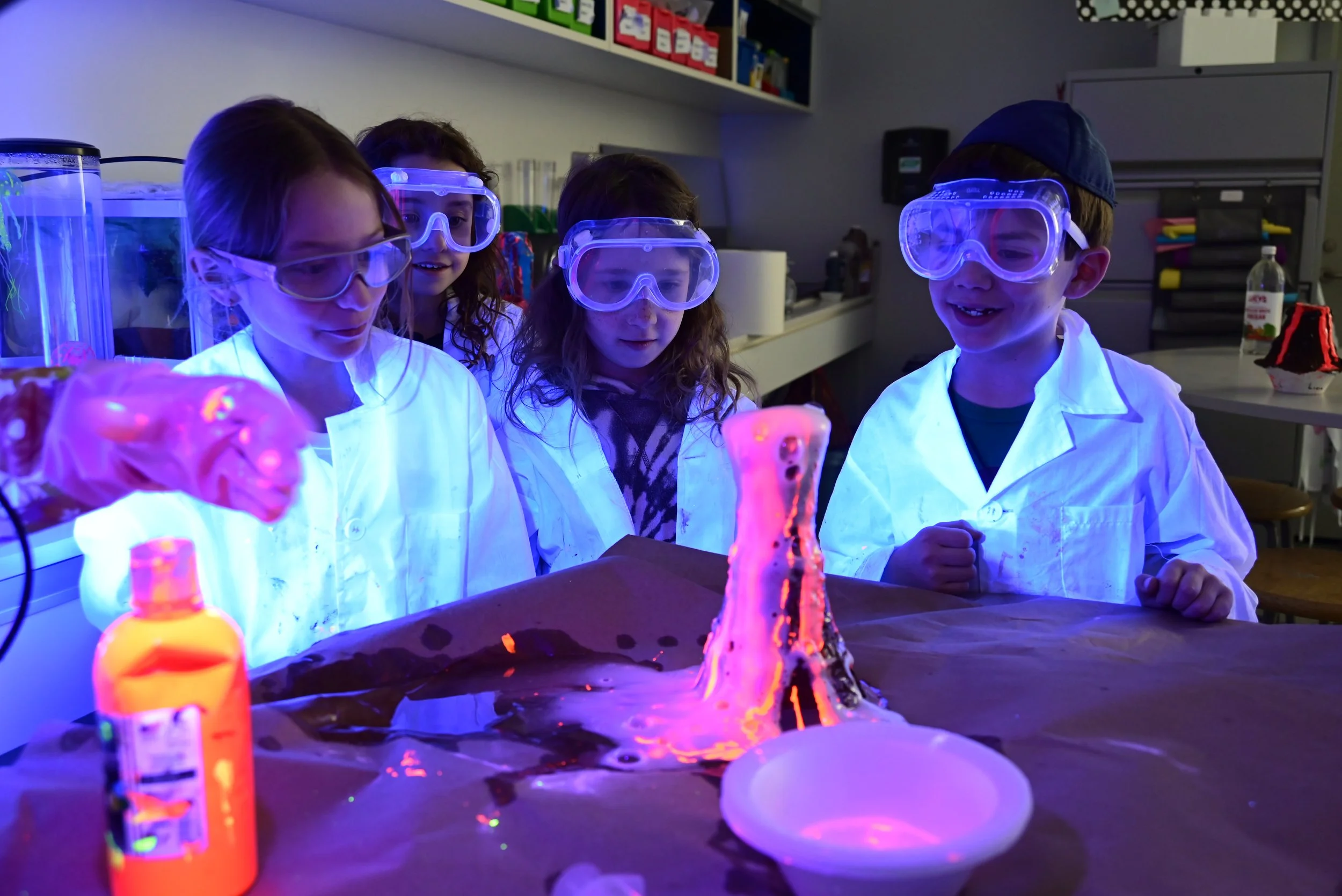 Grade 2 Erupts Model Volcanoes