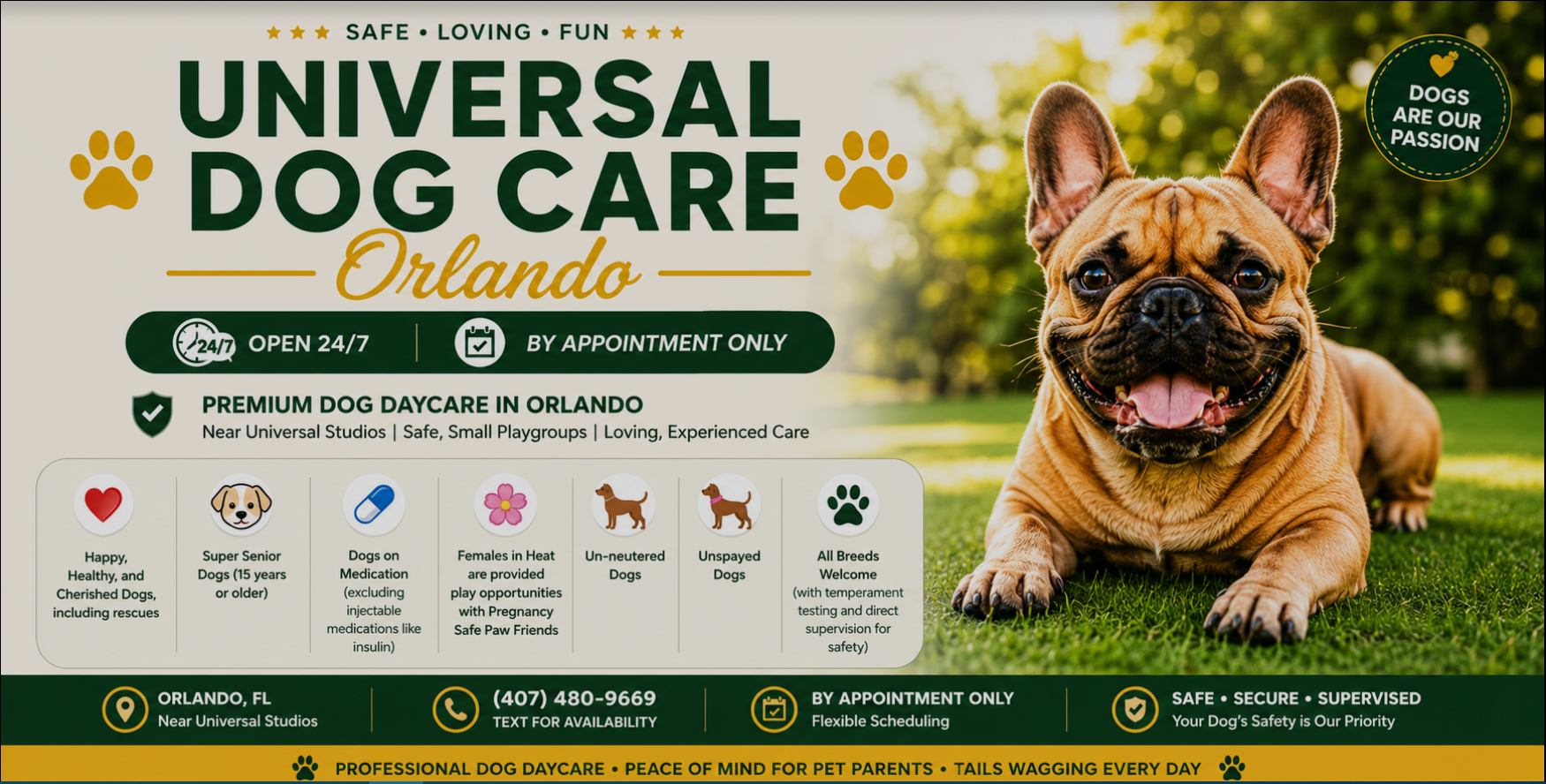 Universal Dog Care Orlando banner: dog daycare and boarding near Universal Studios, open 24/7 by appointment, small playgroups, all breeds welcome