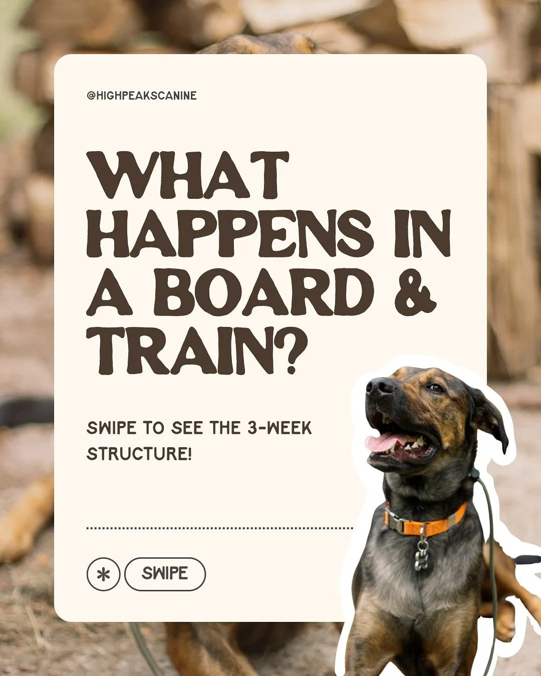 Ever wondered what a board and train looks like? 

Here&rsquo;s a breakdown!

🗓️Week 1: Foundation
🗓️Week 2: E-Collar Intro
🗓️Week 3: Proofing &amp; Real-Life Practice

Throughout the program you&rsquo;ll come once a week to train alongside your d