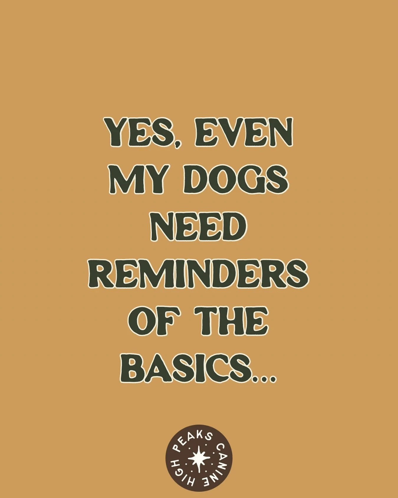 Even I have to go back to basics with my own dogs.

Sometimes that means more structure, more management, and less freedom for a bit &mdash; and that&rsquo;s okay. With an intact shepherd and a Newfie who both have strong personalities, tension can b