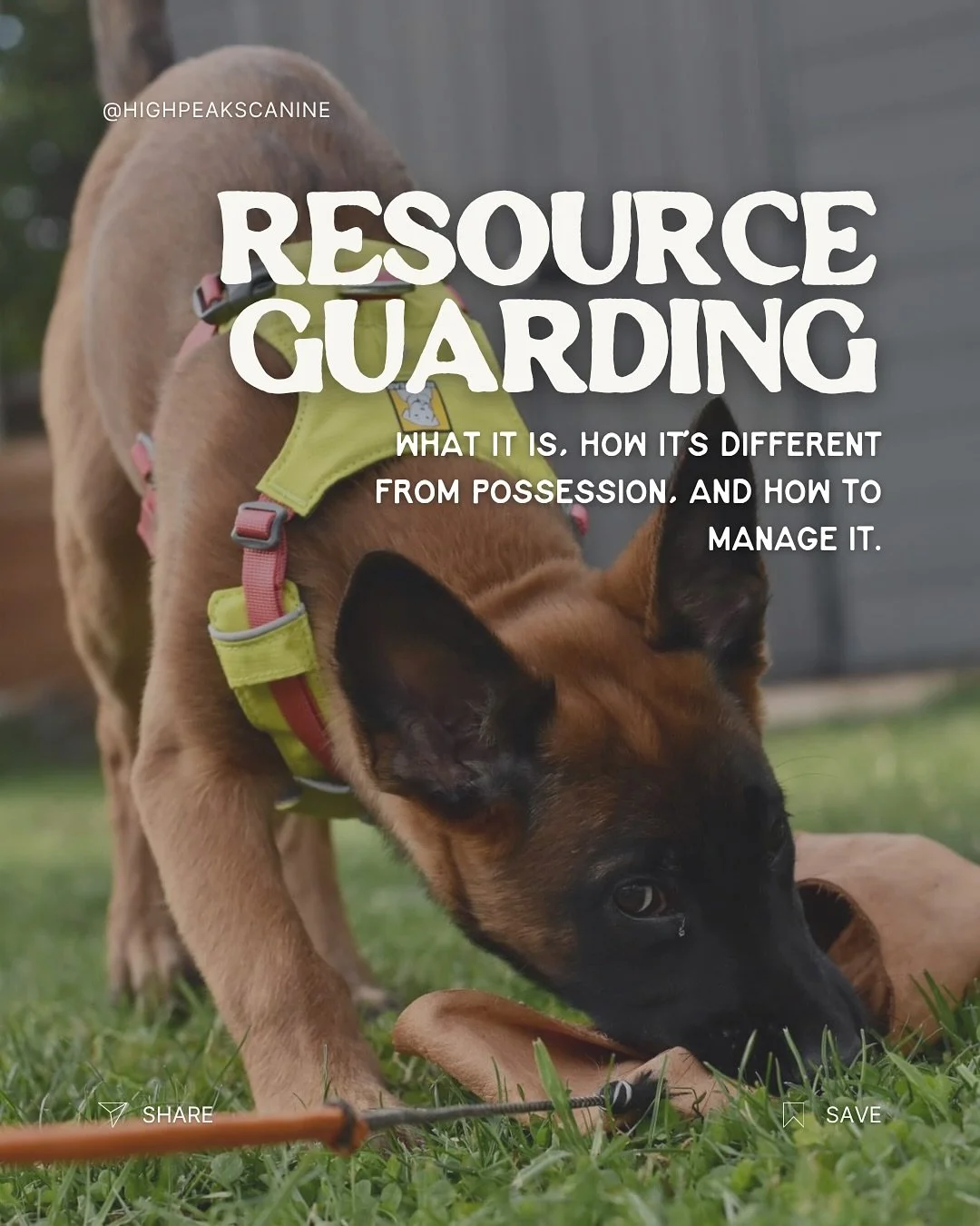✨Resource Guarding - Let&rsquo;s Break It Down

Resource guarding is when a dog feels the need to protect something valuable &mdash; food, toys, space, or even people. It&rsquo;s not &ldquo;bad behavior&rdquo; or dominance &mdash; it&rsquo;s usually 