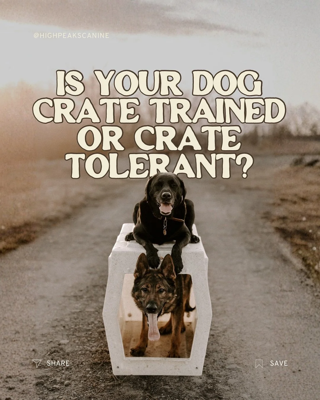 Crate Trained vs. Crate Tolerant 🐾

There&rsquo;s a big difference between a dog who&rsquo;s crate trained and one who&rsquo;s just crate tolerant.

👉 A crate trained dog can relax&mdash;door open or closed, people home or gone. The crate is a rese