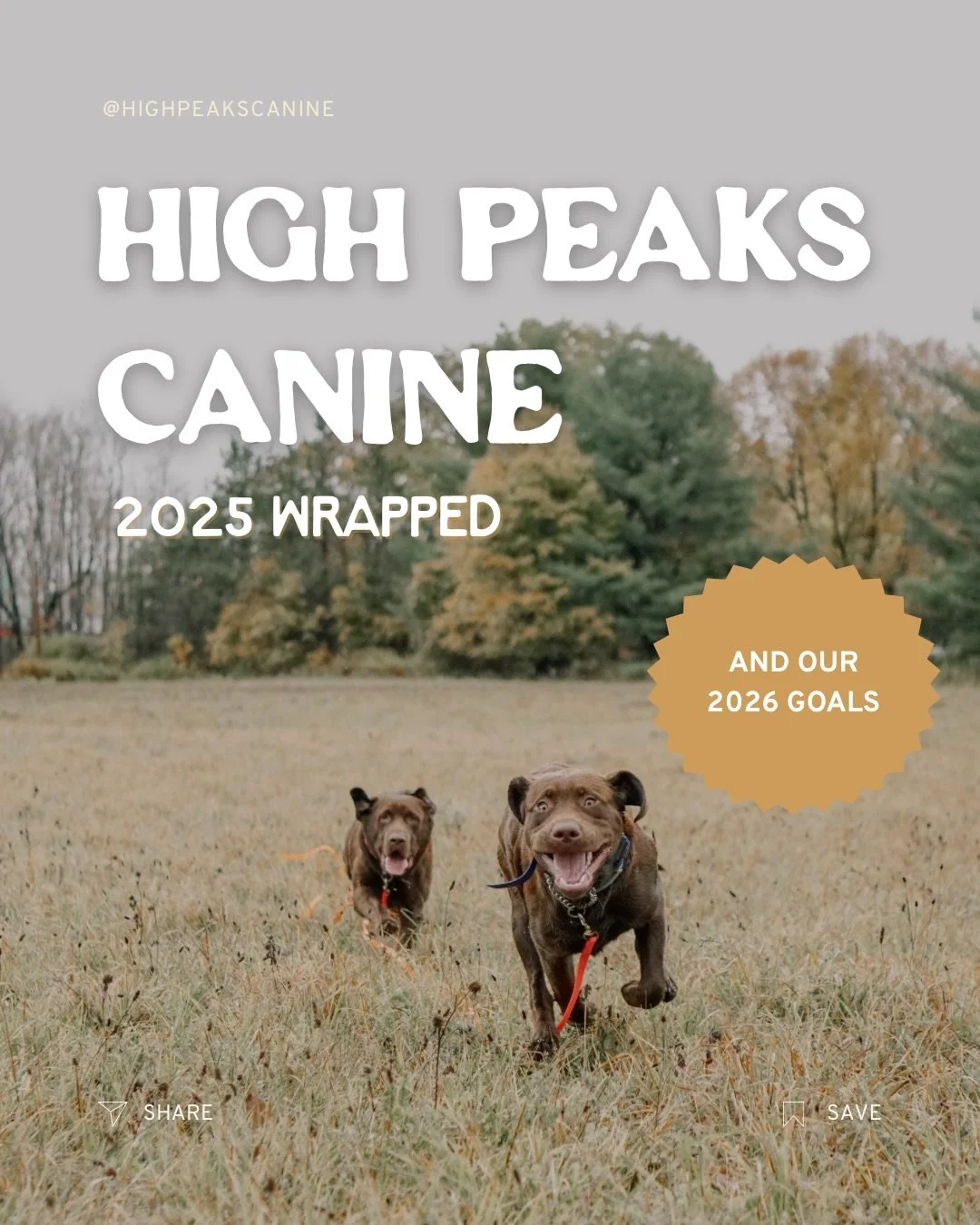 Saw some other trainers do this and thought it was a great idea!

Last 2025 wrapped I promise!

Thank you everyone for your support ❤️

#2025wrapped #2026goals #dogtraining