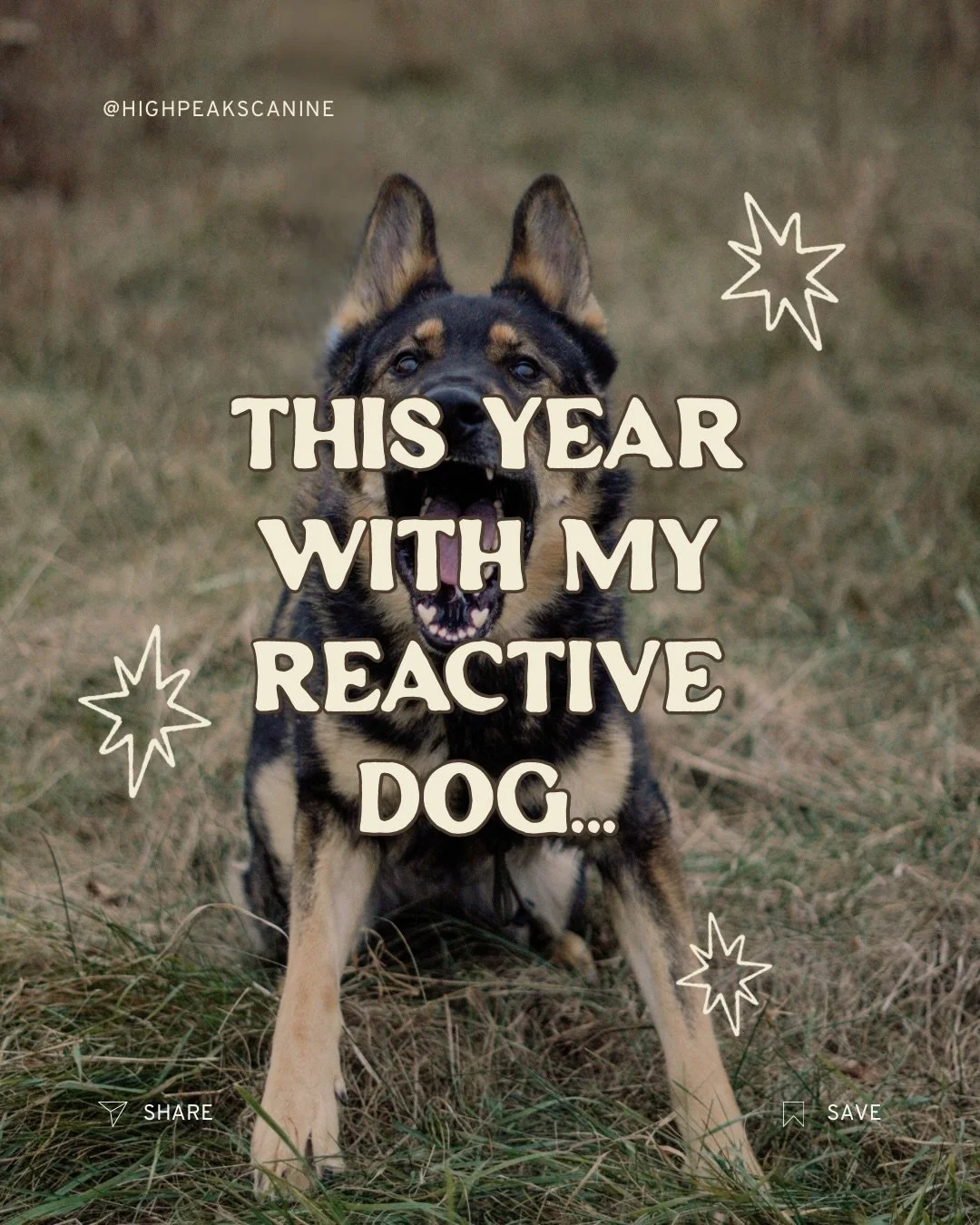 Owning a reactive dog is mentally, emotionally, and physically exhausting. 

It can also feel incredibly lonely.

And yet&hellip; having a reactive dog is more common than you think.

You&rsquo;re not weak for feeling overwhelmed and you&rsquo;re not