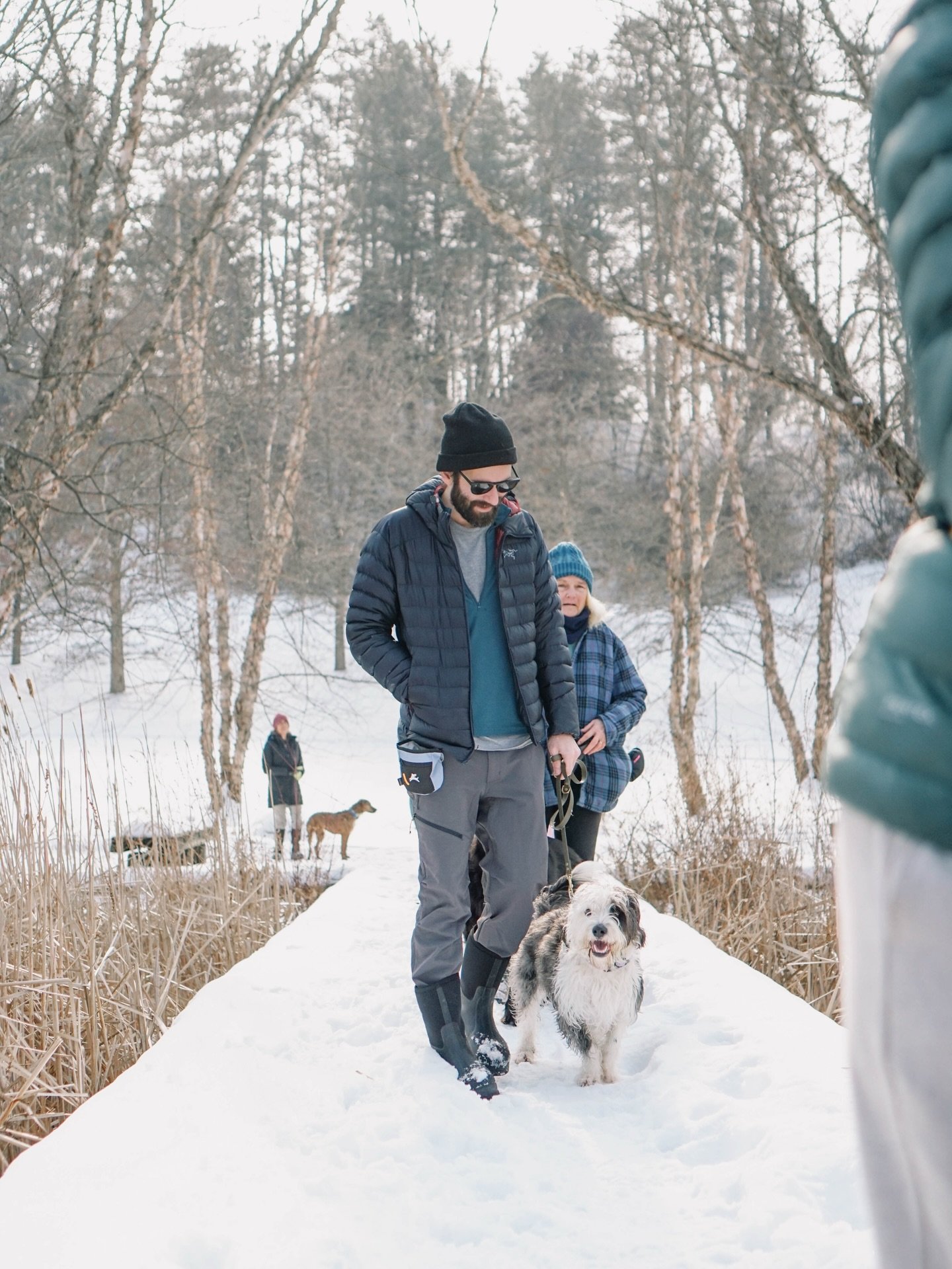 Oh how I love my Sunday morning pack walks with my clients 🫶🏻

I truly look forward to them! I&rsquo;ve loved creating this little dog training community here in Ithaca. Plus, we finally had some decent weather to take it outside!

#packwalk #balan