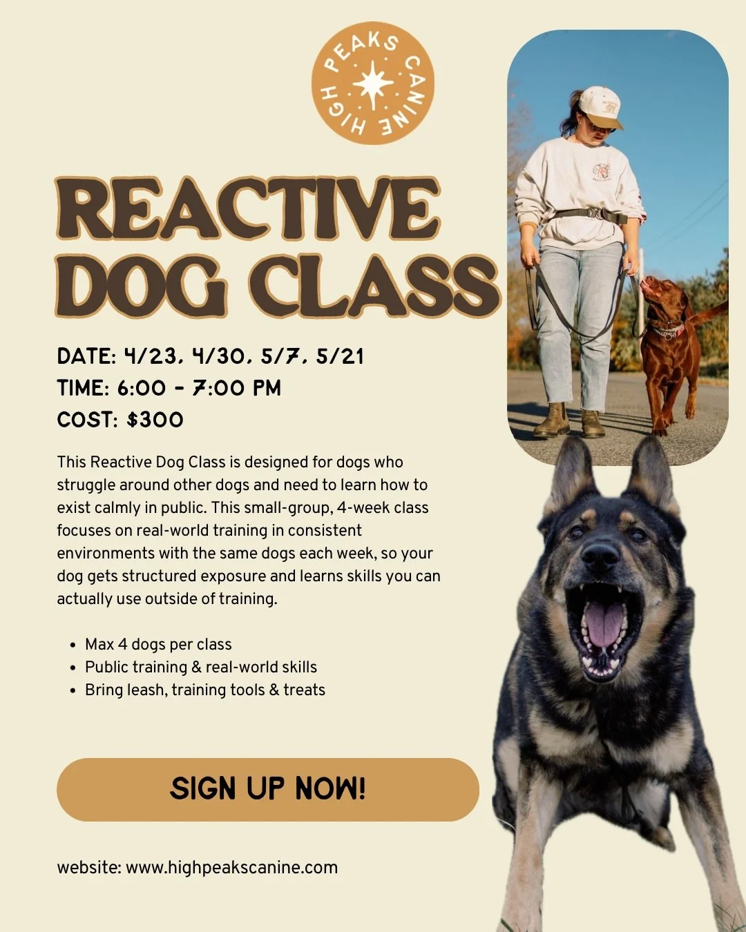 Your dog doesn&rsquo;t need more avoidance. They need accountability &amp; better exposure.

This class is designed for owners who already have the basics&mdash;but need help applying them around real distractions.

Small group. Real environments. Ac