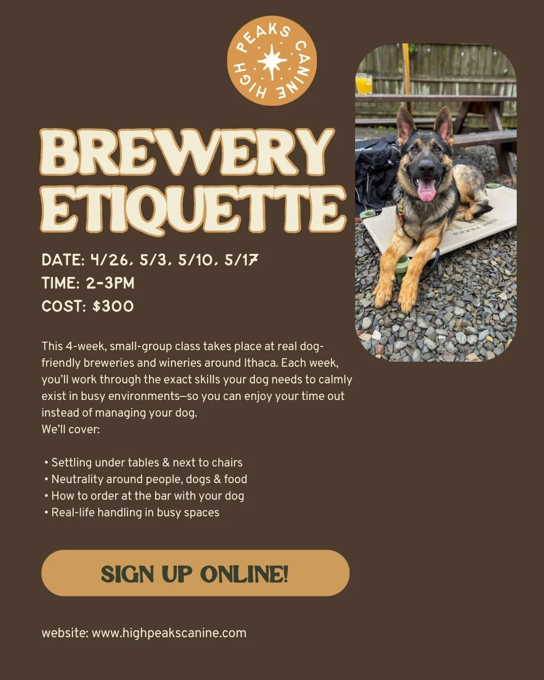 Ever wanted to take your pup to a brewery&hellip; but had no idea where to start?

👋🏻Hey! I&rsquo;ve got you!

Bringing your dog into that kind of environment can feel like a lot - new place, people walking by, other dogs, food everywhere&hellip;

