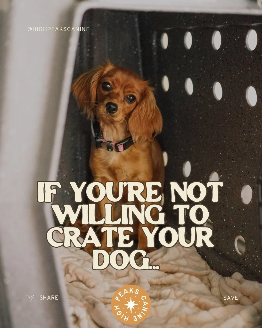 ✨If you&rsquo;re not willing to crate your dog, then I&rsquo;m probably not the trainer for you✨

Before you get offended, hear me out.

9 out of 10 consult calls I get are for fearful or reactive dogs. The dog is barking out the window, pacing the h