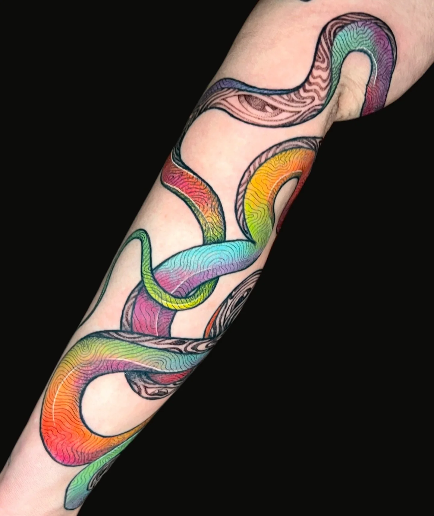 🩷❤️🧡💛💚🩵💙💜🩷
Rainbow snake for Jess 🥰🐍
EVERYTHING WAS FREEHAND! Holy moly thank you Jess for choosing me and trusting me, forever grateful &hearts;️

Needles to say I would LOVE to continue to tattoo cool snakes on you guys, hit me up 🐍

Don