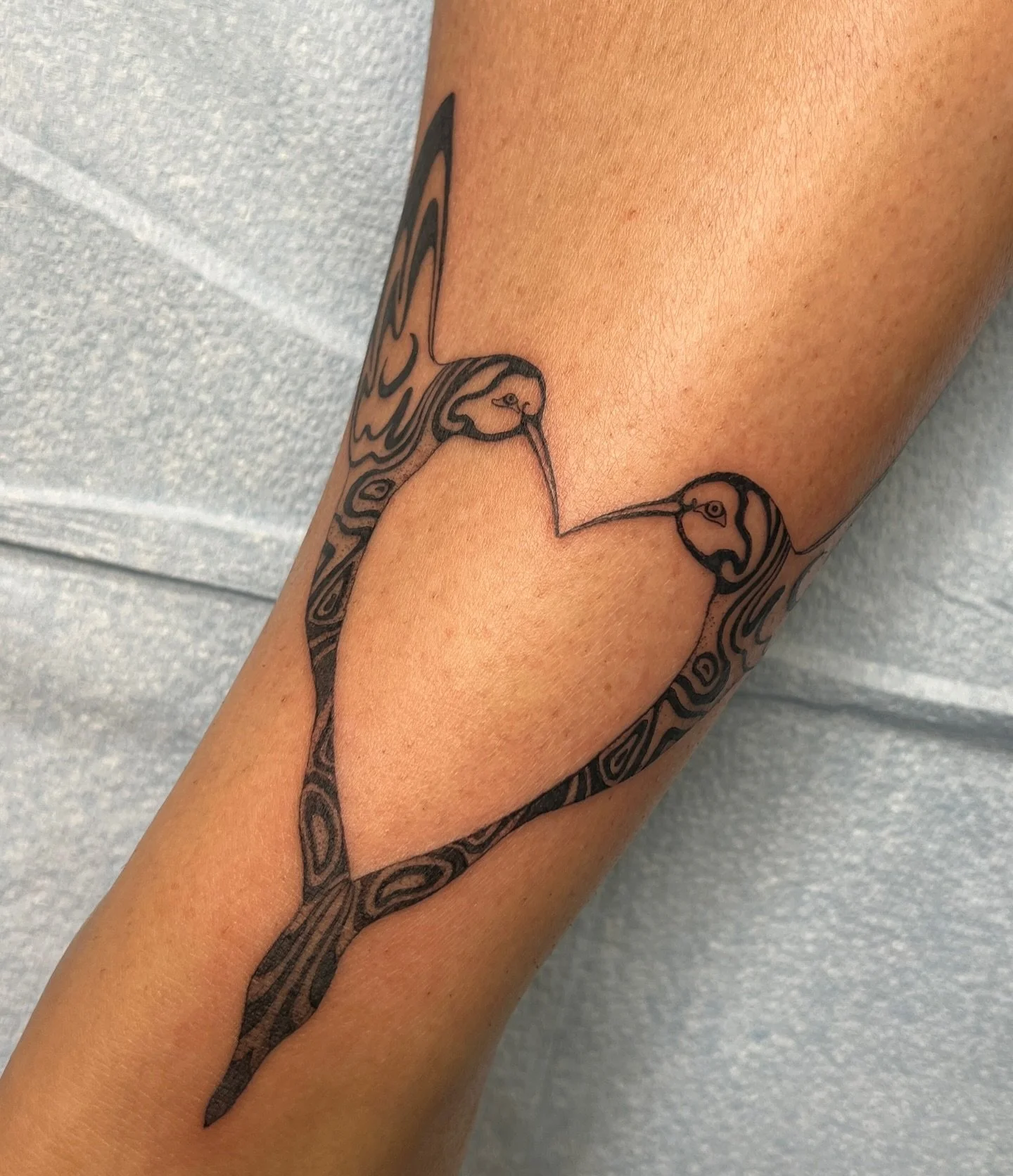 Hummingbirds inspired by the formline art style of indigenous people of the beloved Pacific Northwest for Johanna 🫶

Done during my last guest spot @harpxrose 🫶
I&rsquo;m coming back in May and have last spots available! HMU if you want a tattoo 💌