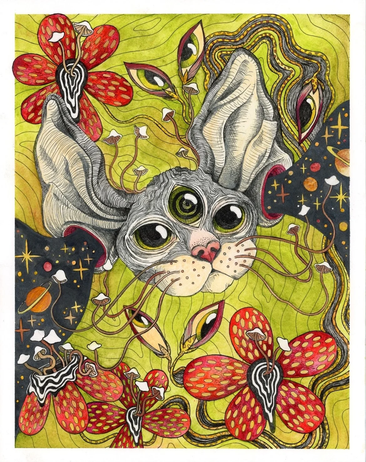 fungiverse, watercolor and ink on paper