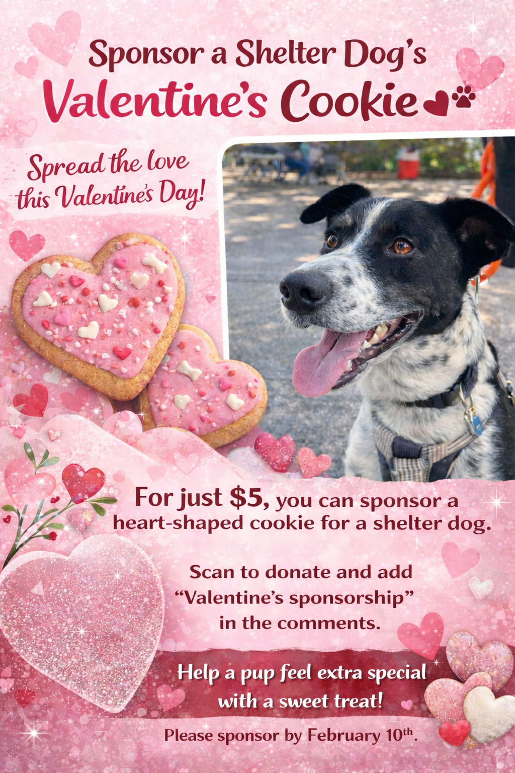 💖 Sponsor a Valentine’s Day Cookie for a Shelter Dog 💖