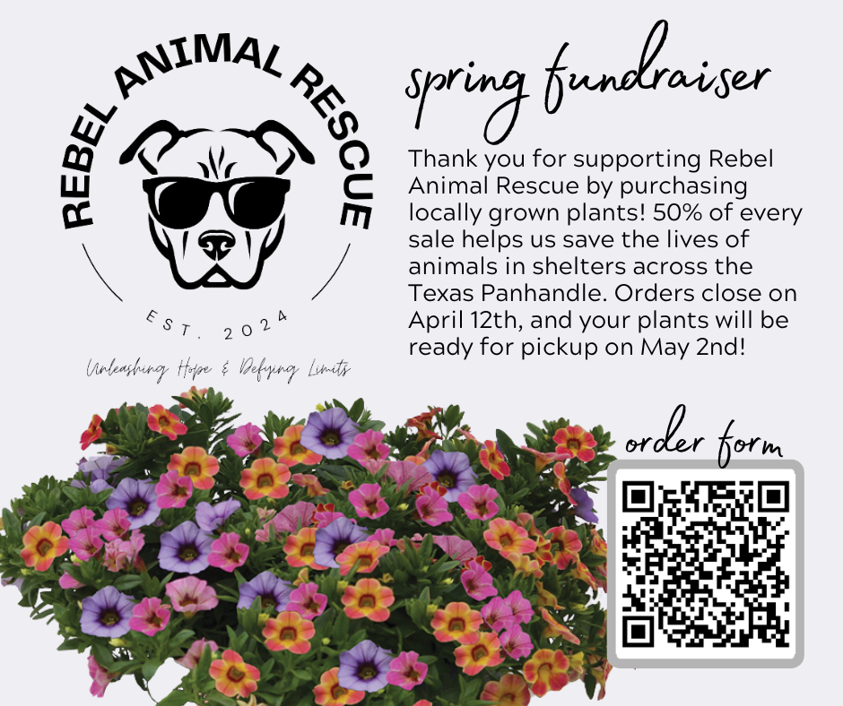 Spring Plant Fundraiser