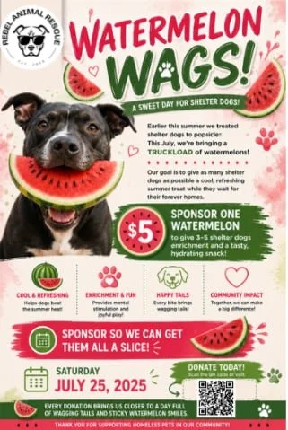 🍉 Watermelon Wags 🐾