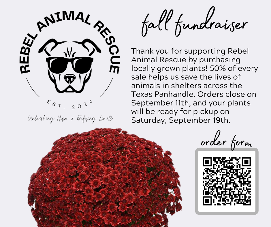 Fall Plant Fundraiser