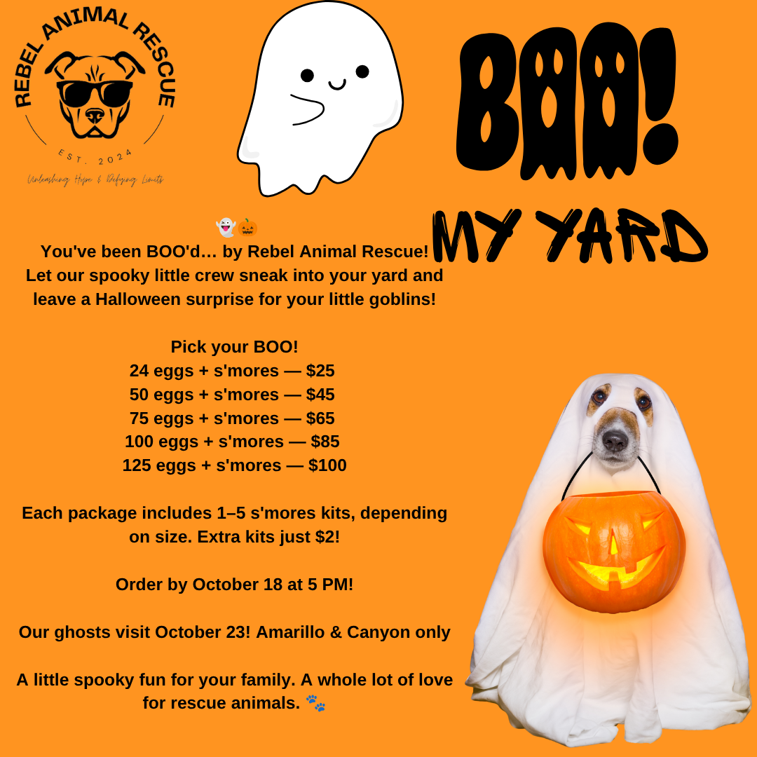 Boo My Yard 