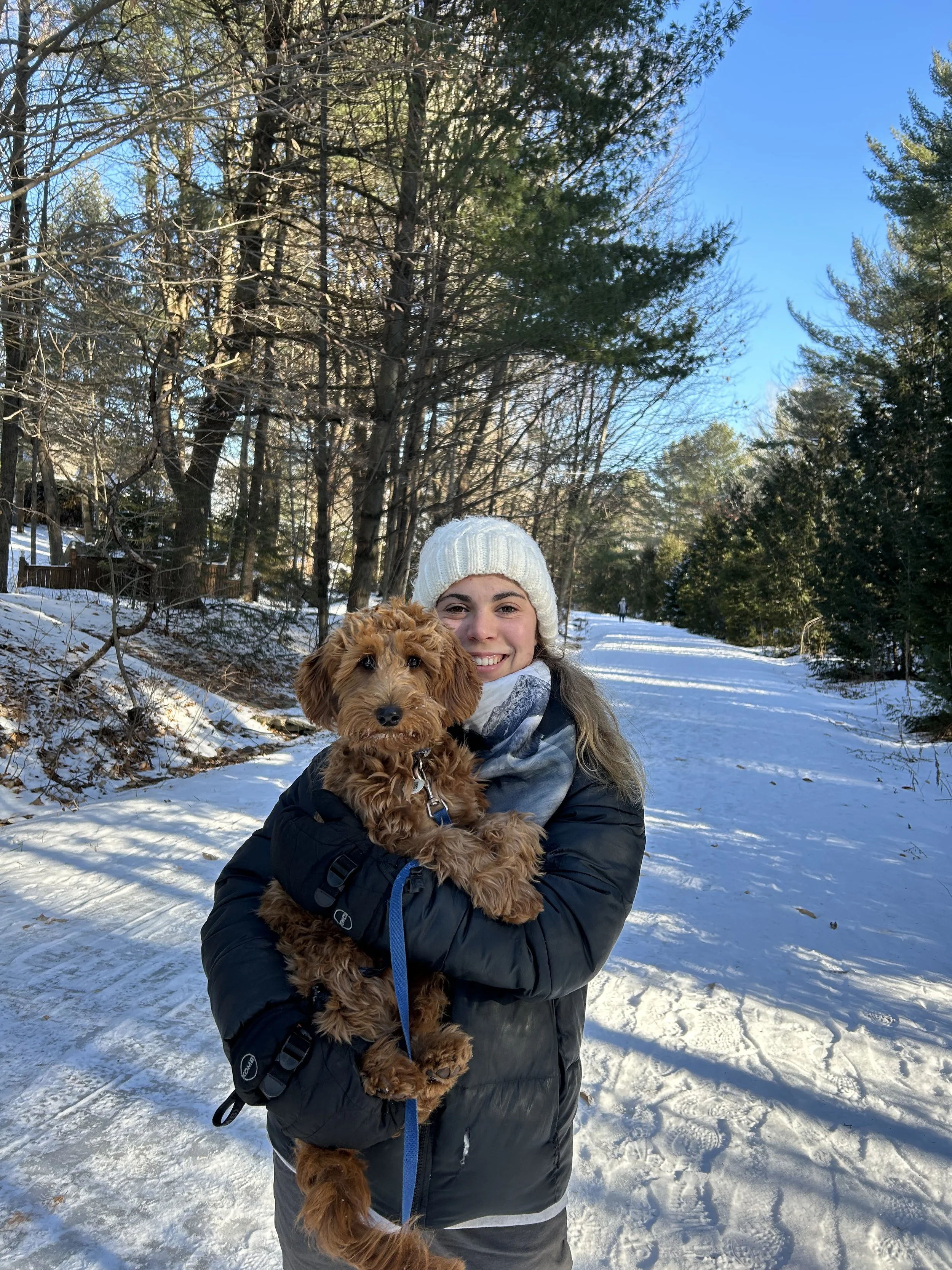 Une femme habillée avec un manteau d'hiver et une tuque tient un chien brun au poil mi-long dans ses bras. Ils sont sur une chemin enneigé au milieux de la forêt une journée ensoleillée d'hiver.