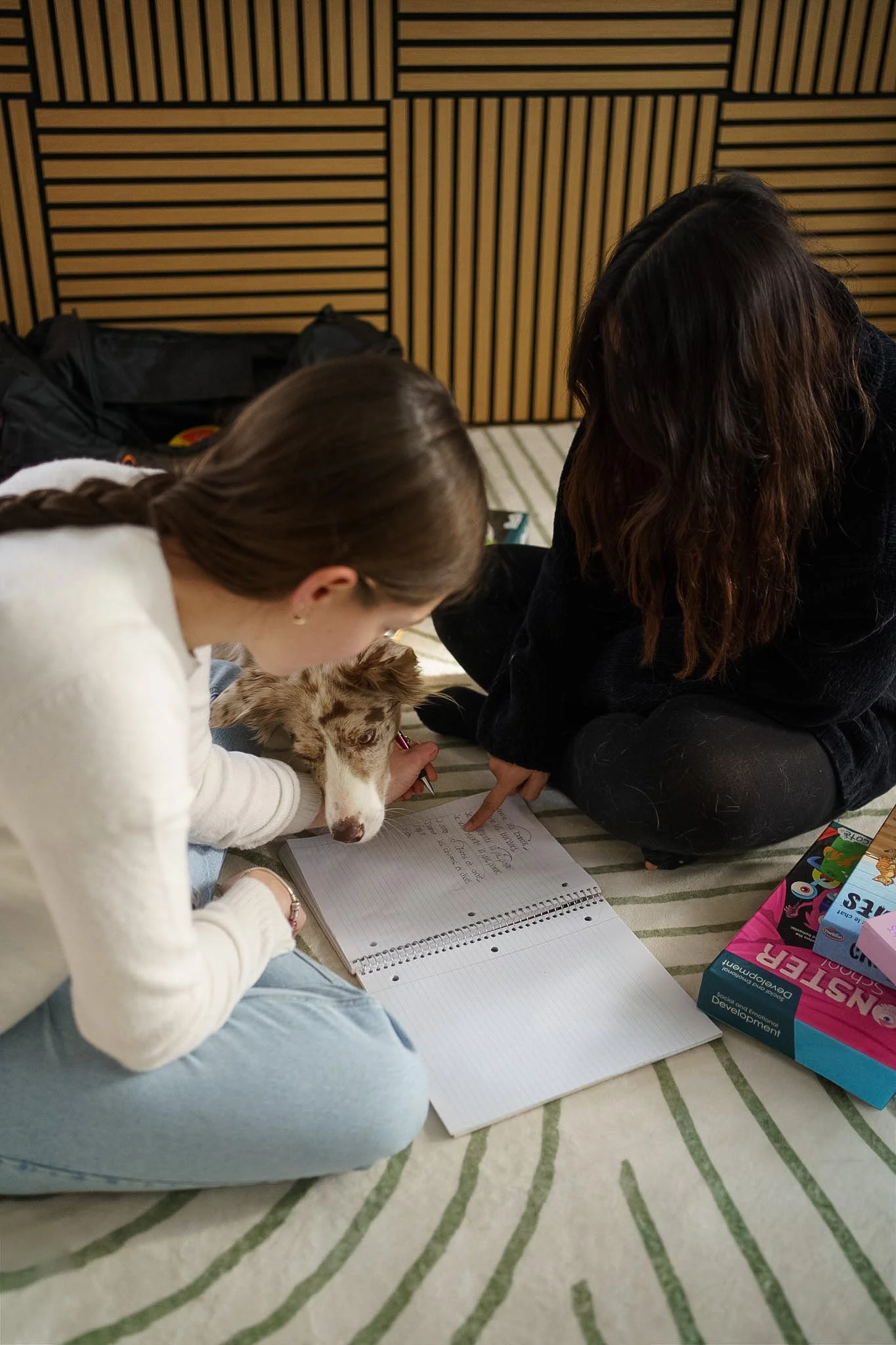 Deux femmes sont assises au sol sur un tapis rayé. L'une d'elle pointe un cahier de note et l'autre rédige dedans. Un chien les accompagnent et est coucher tout près.