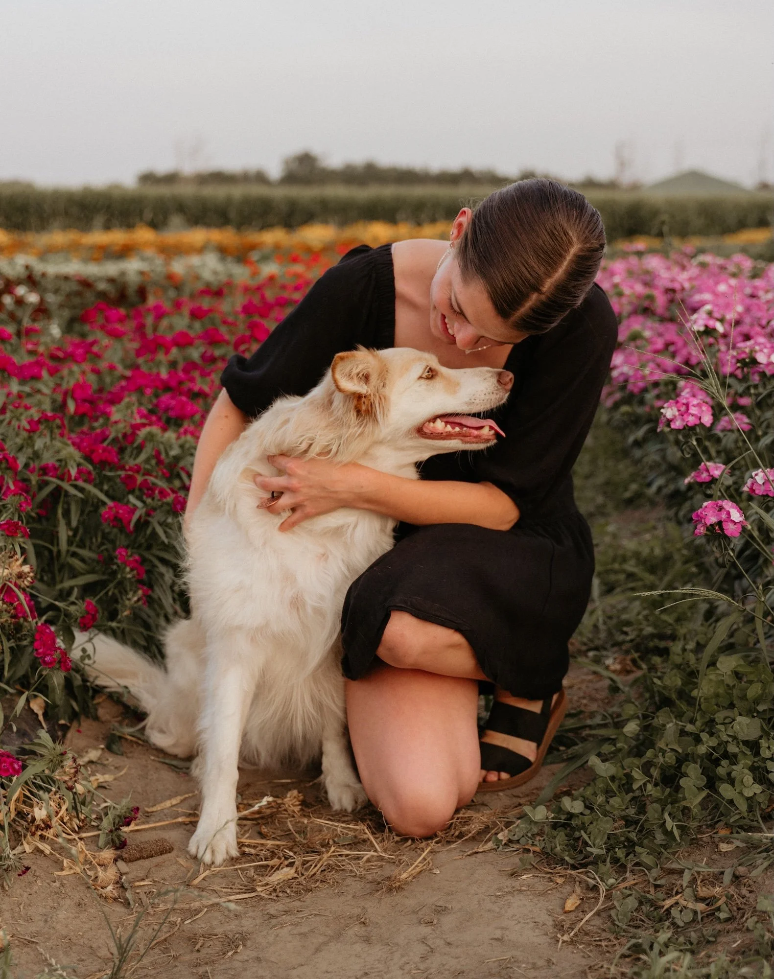 Une femme vêtue d'une robe noire regarde en souriant un chien à la fourrure beige/blanche. Les duo maitre-chien pose dans un champs de fleurs roses et jaunes.