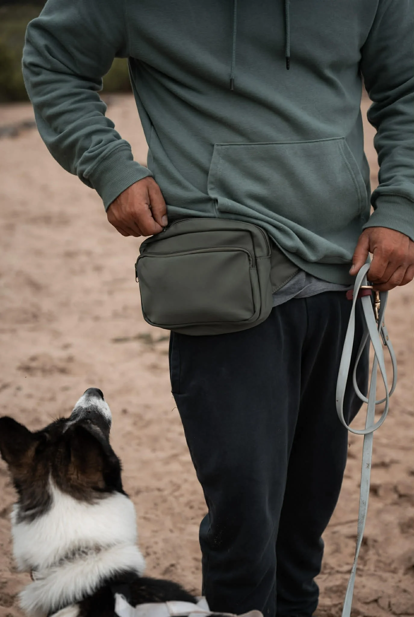 Une personne vêtue d'un sweat à capuche vert et d'un pantalon sombre tient une laisse de chien grise et se tient debout sur une surface sablonneuse, tandis qu'un chien noir et blanc lève les yeux vers elle en attendant.