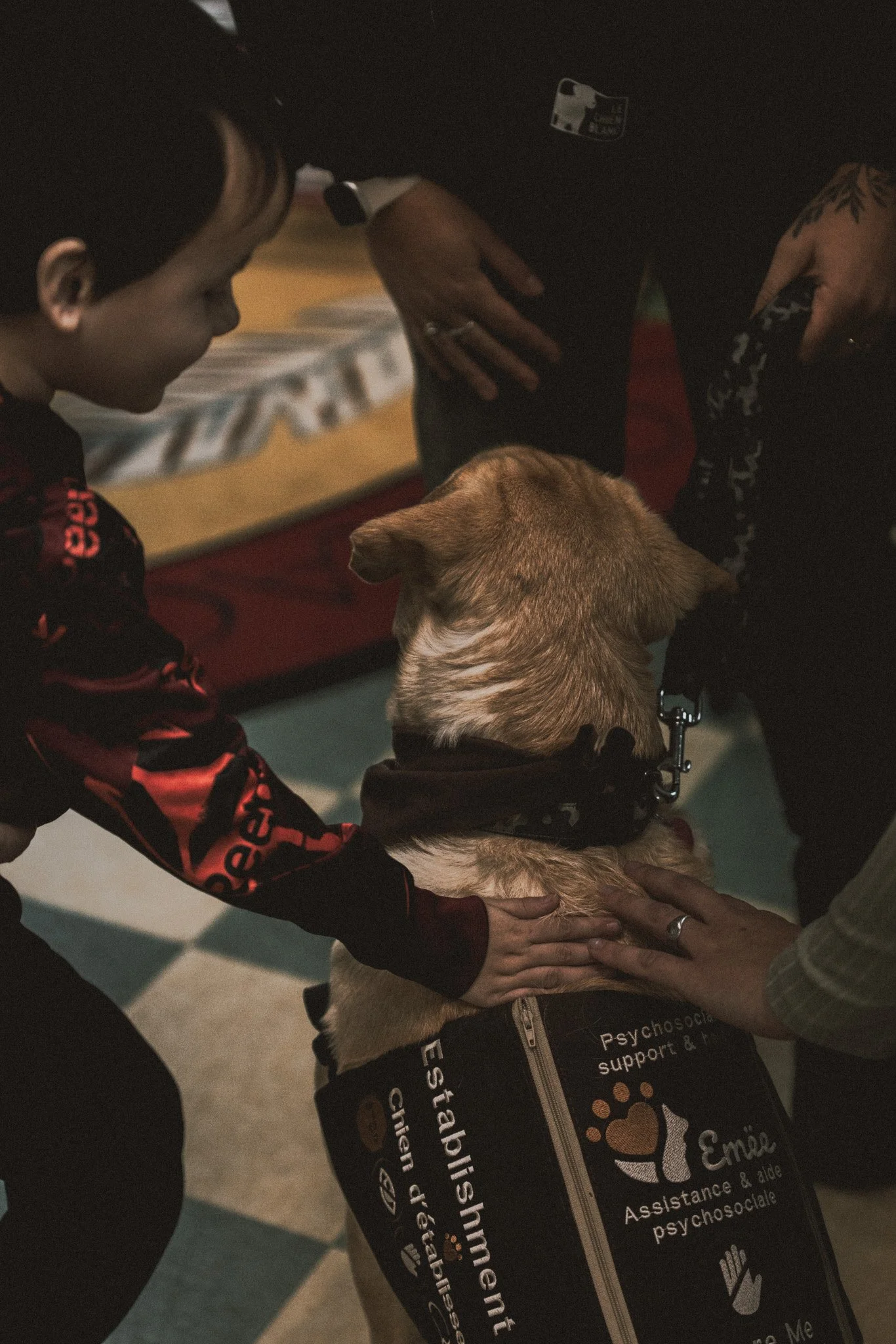 Un chien d'assistance portant un gilet est assis attentivement à côté de son maître dans une salle de classe. Le maître tient la laisse du chien et du matériel pédagogique est visible sur le mur à l'arrière-plan.