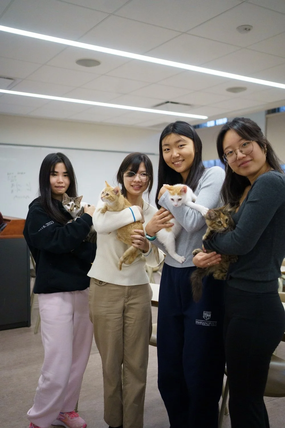 Un groupe de 4 filles posent devant la caméra avec chacun un chat dans les mains. Elles se trouvent dans une salle de classe avec un tableau blanc à l'arrière-plan et des lumières DEL au plafond.