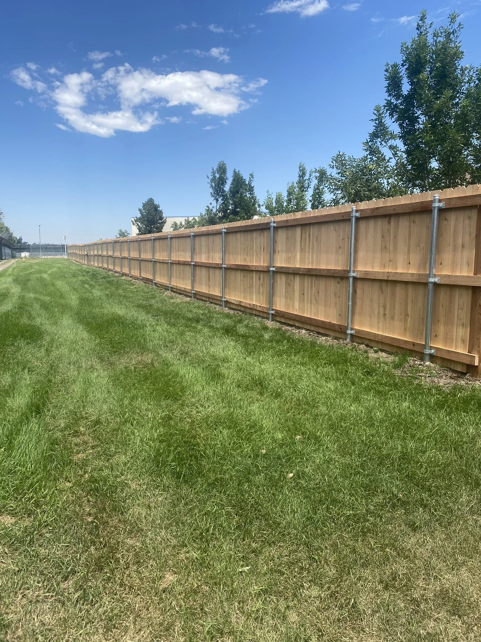 cedar with chain link post.JPEG