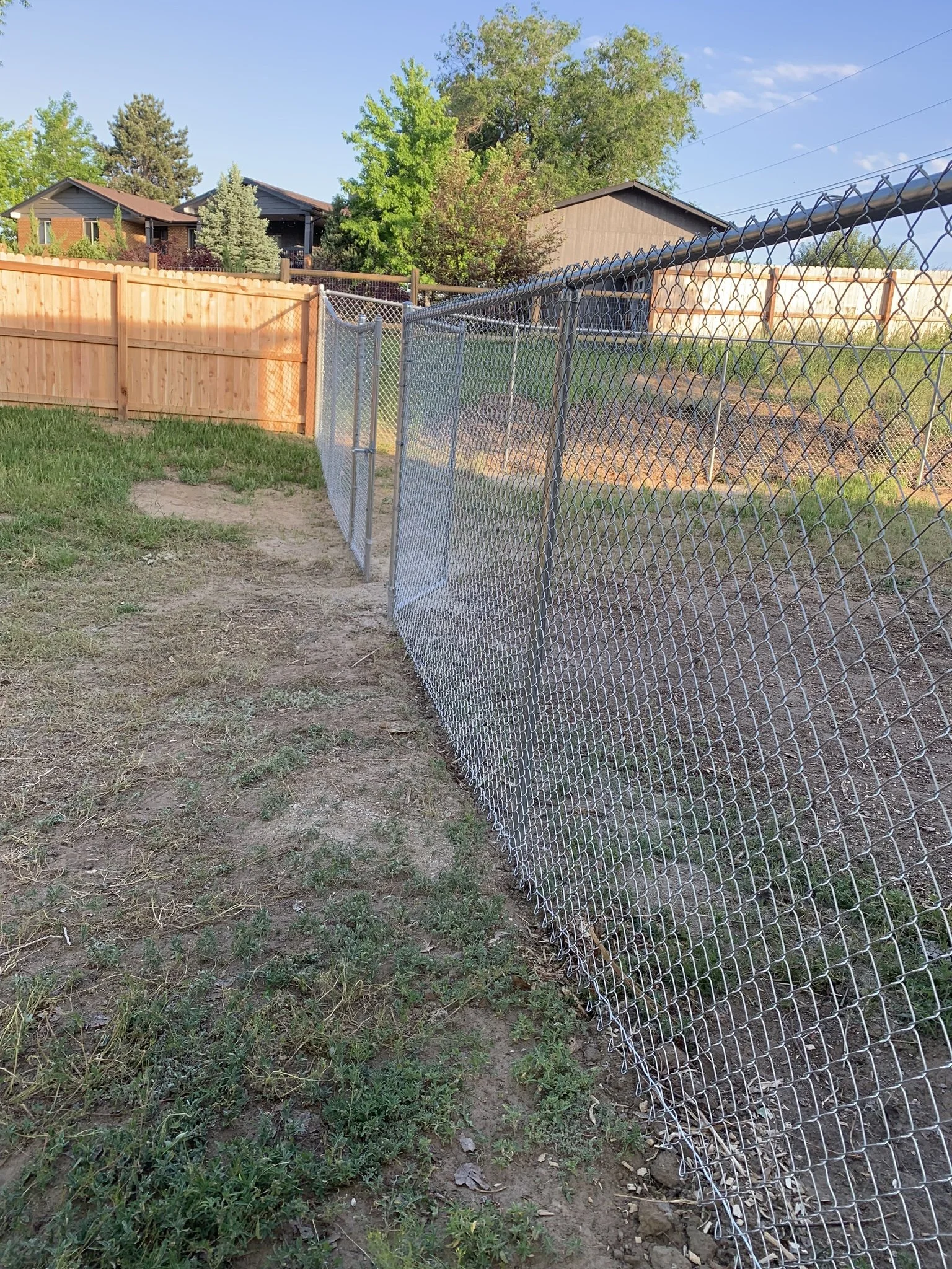 A backyard with a dirt and grass pathway, a chain-link fence on the right, and a wooden fence on the left, with houses and trees in the background under a clear blue sky.