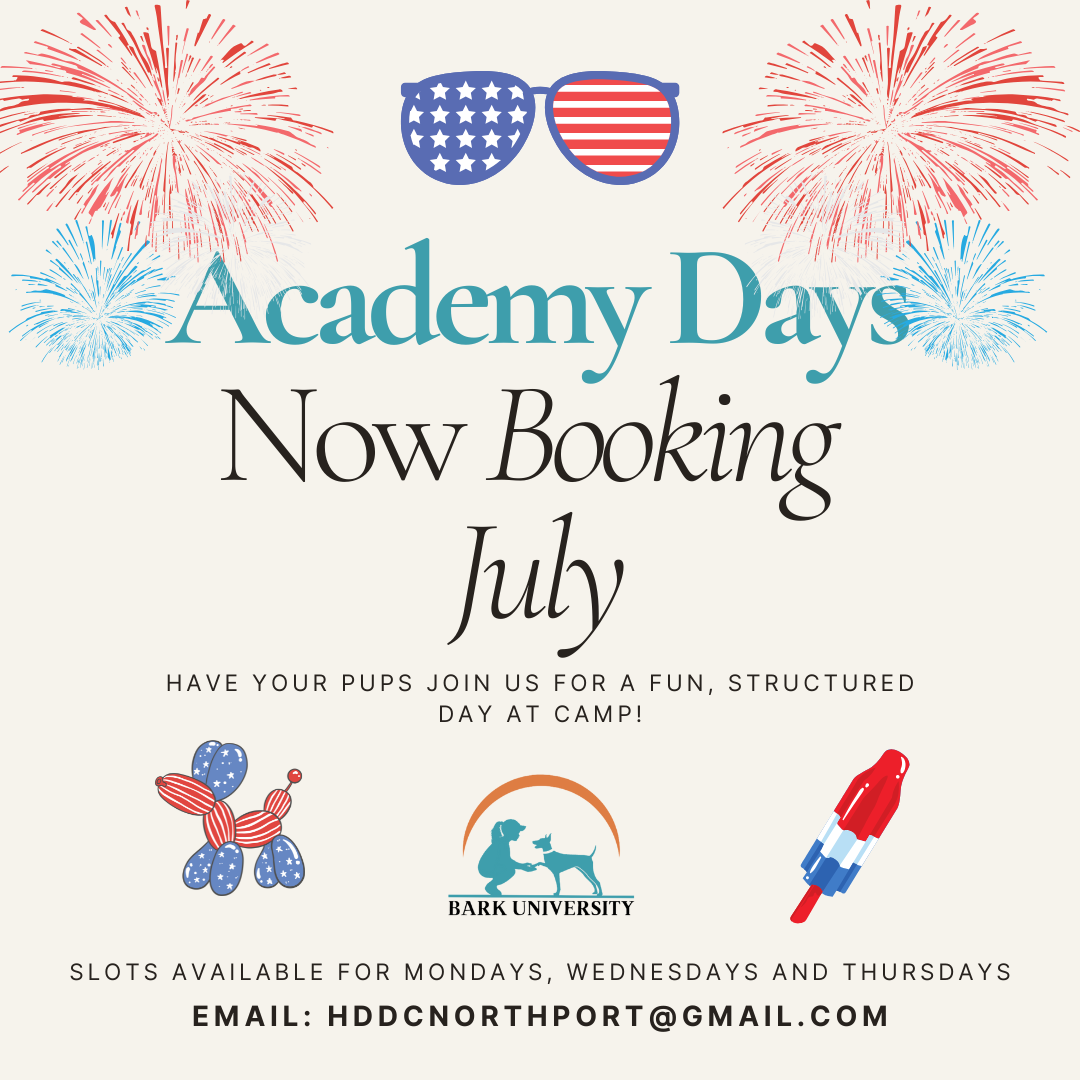 Now Booking July Academy Days