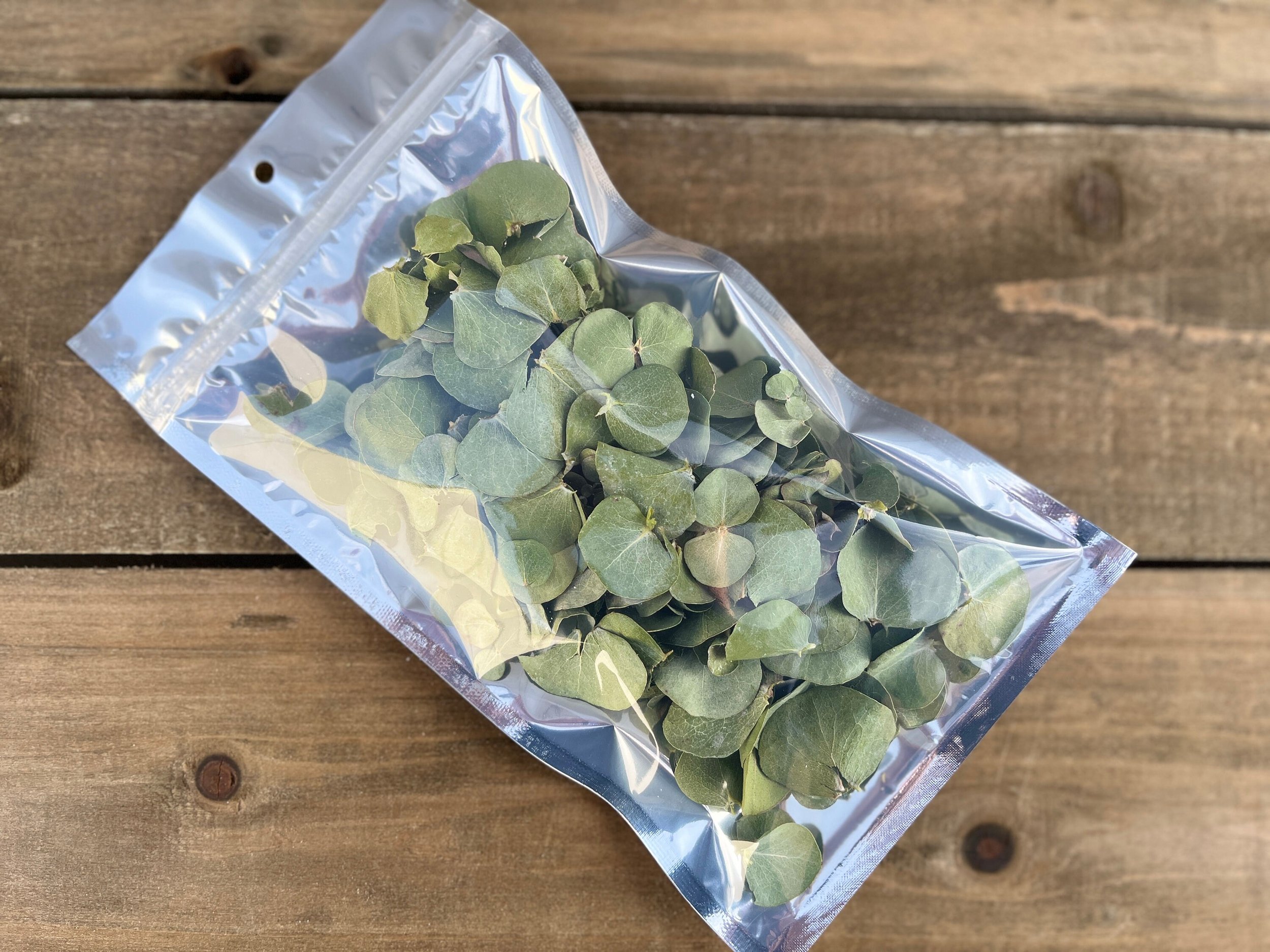 Dried Eucalyptus Leaves