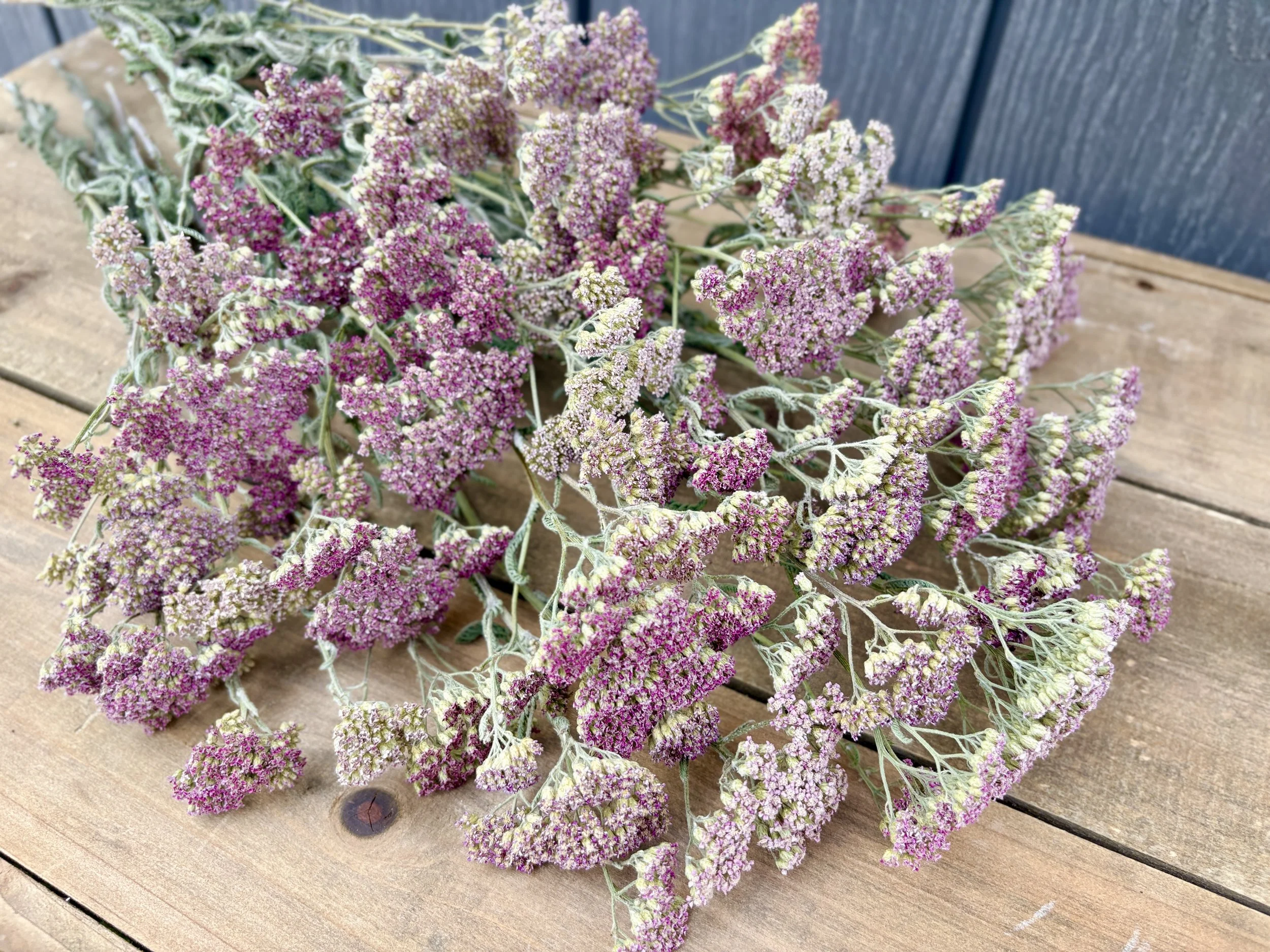 2026-07-21_09-27-43.jpg