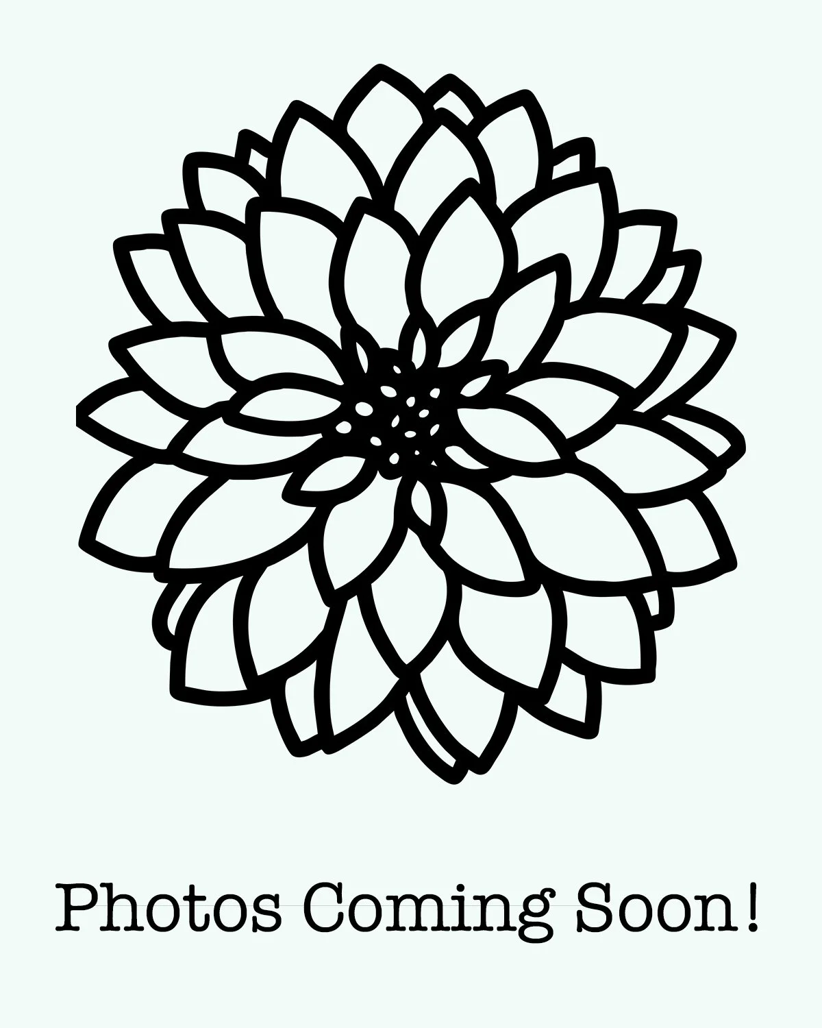 PhotosComingSoon.jpg (Copy) (Copy) (Copy) (Copy) (Copy) (Copy) (Copy) (Copy)