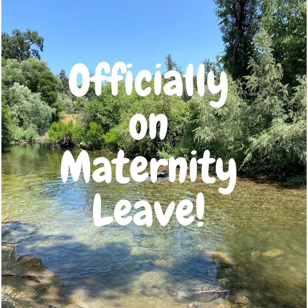 ✨Maternity Leave Announcement✨

Starting today, I&rsquo;ll be on maternity leave and stepping away from sessions for a while as I prepare to welcome baby boy and take some much-needed rest. 💛

I&rsquo;ll be back toward the end of the year&mdash;and 