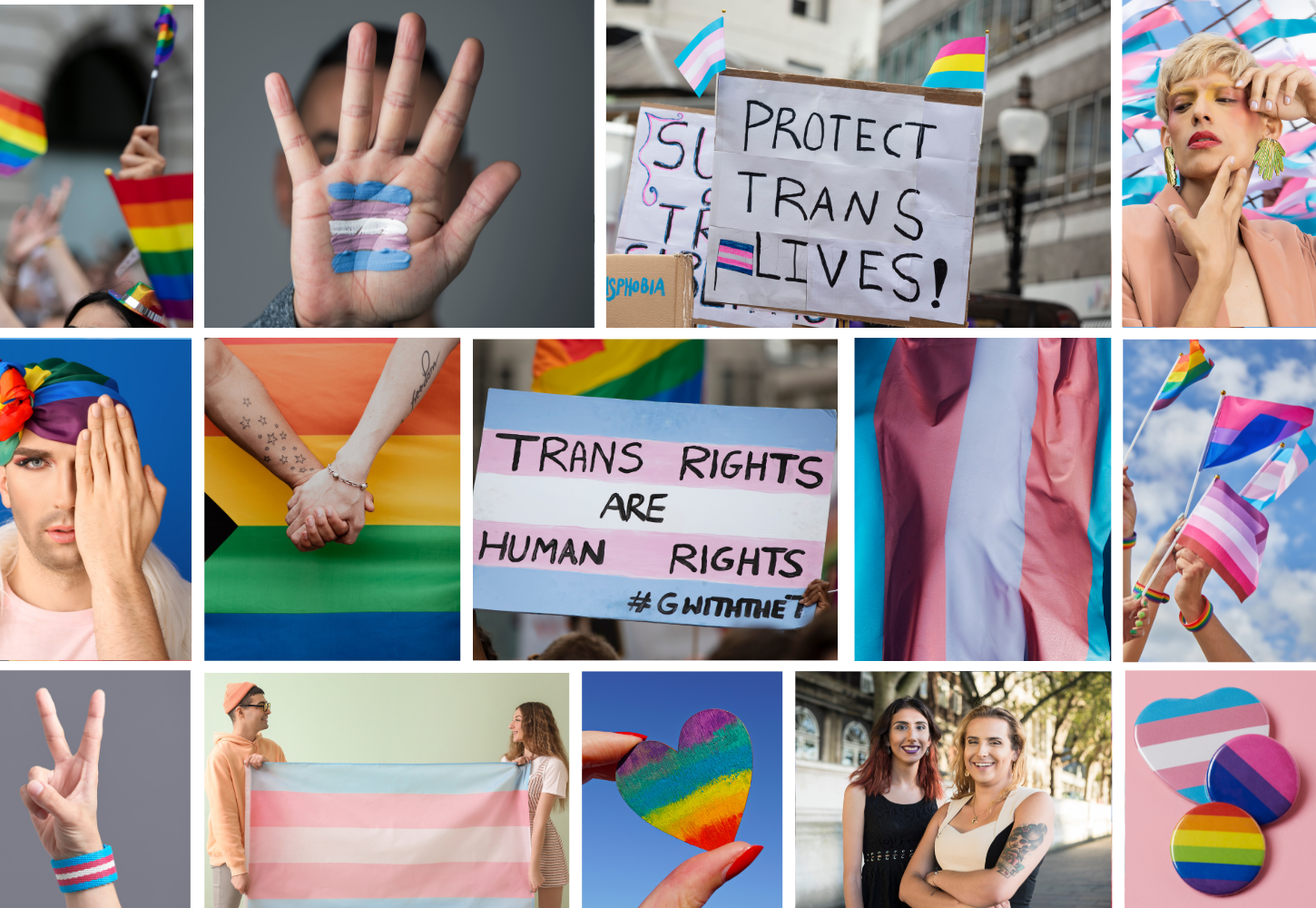Supporting Transgender Youth • Freehold, NJ • Princeton, NJ • Tree Of Life