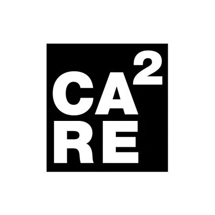 Academia / Enrico Miglietta is part of the Scientific Committee of the CA2RE - Community for Artistic and Architectural Research