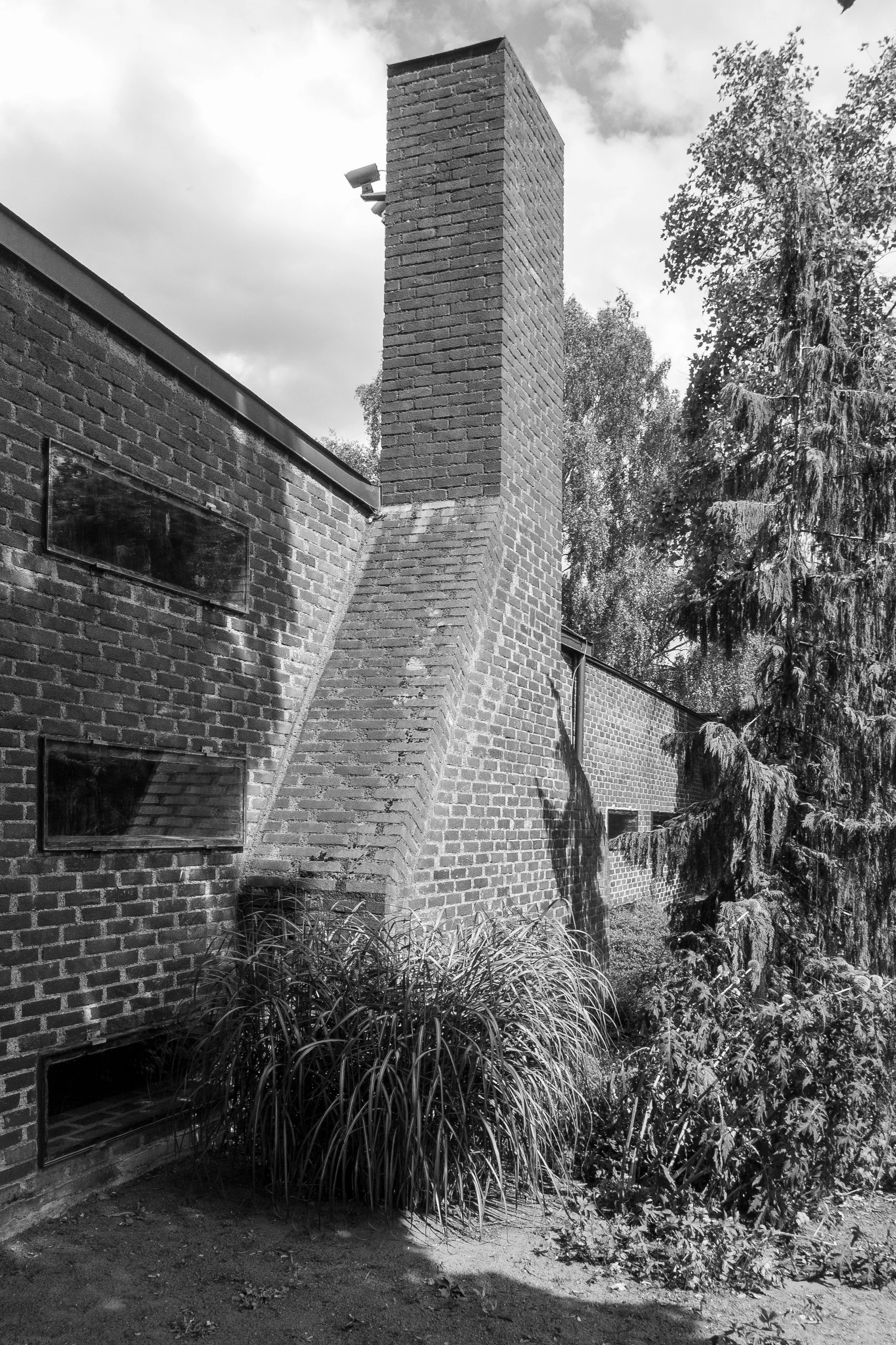 P1010976.jpg