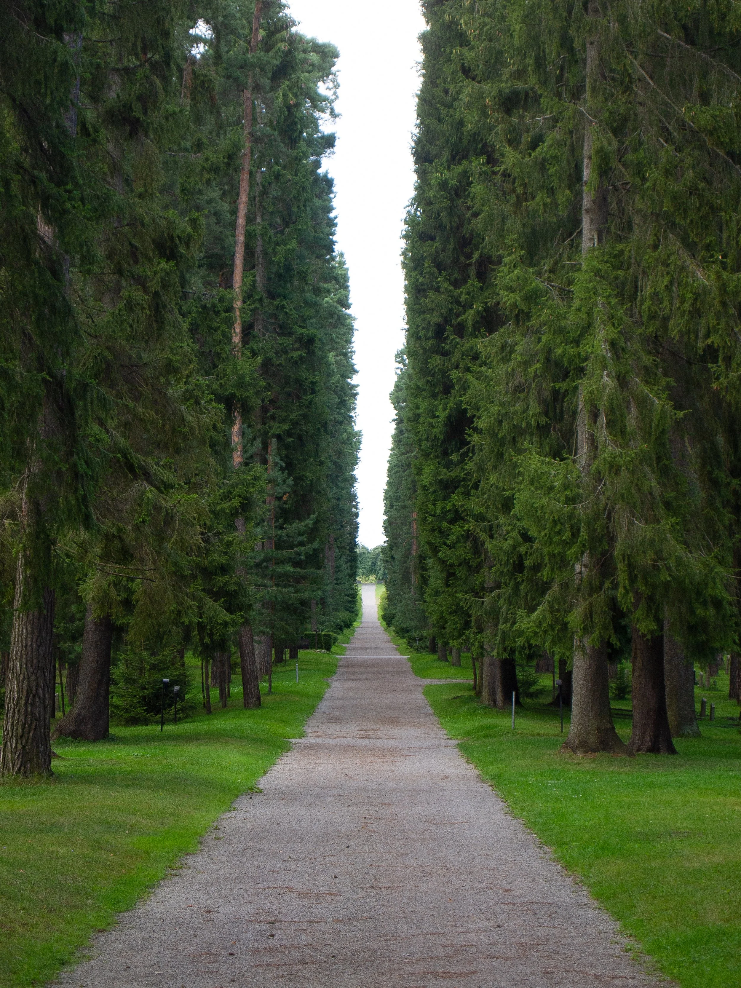 P1011157.jpg