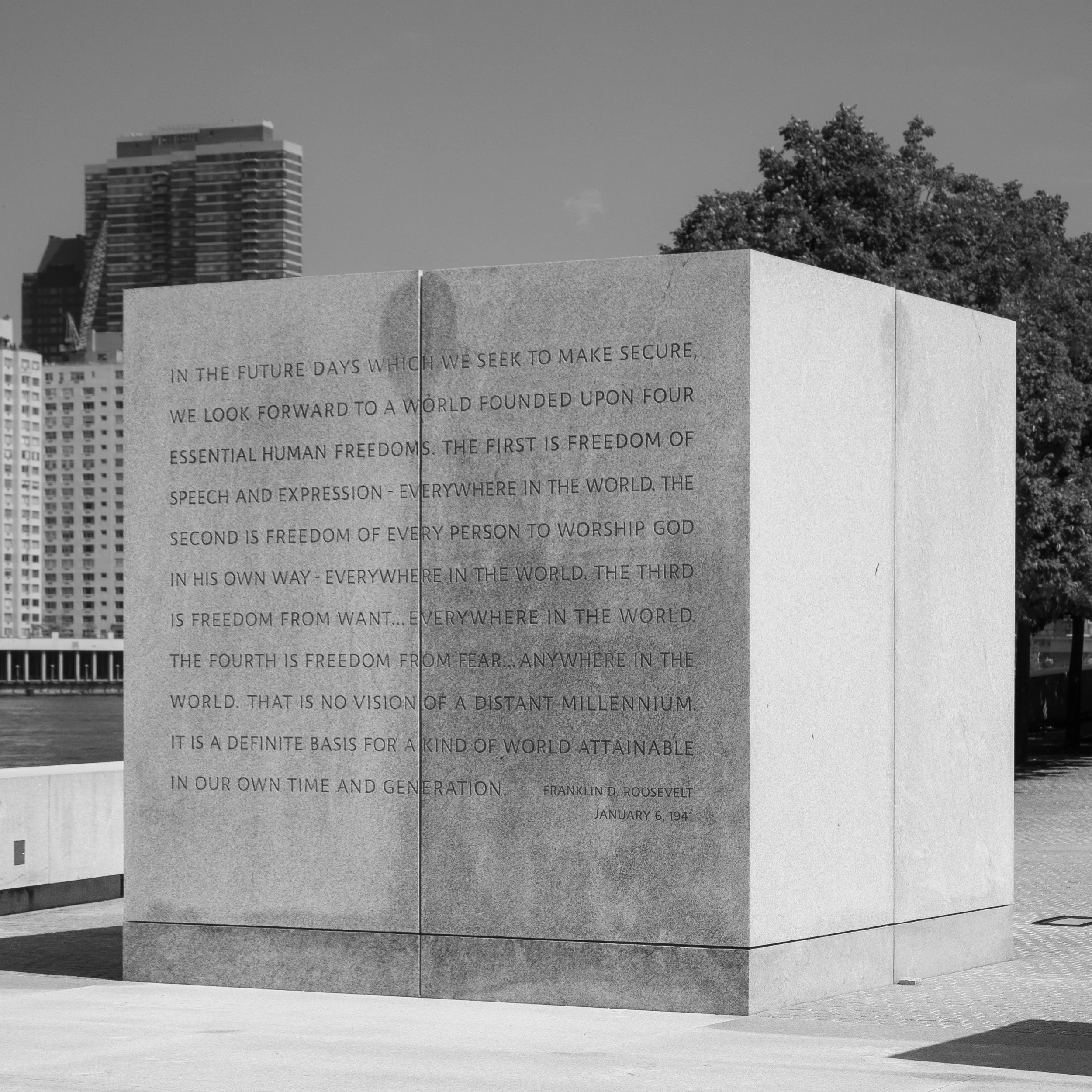 P1010039.jpg