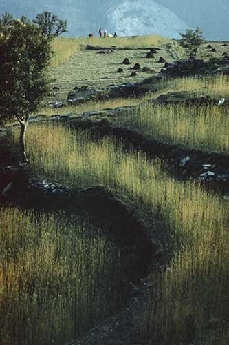 No. 122 Foothills of the Himalayas, toward Jomsom, Nepal, 1973