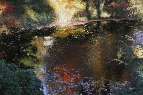 No. 210 Mount Auburn Cemetery, autumn, Cambridge, Massachusetts, 1999
