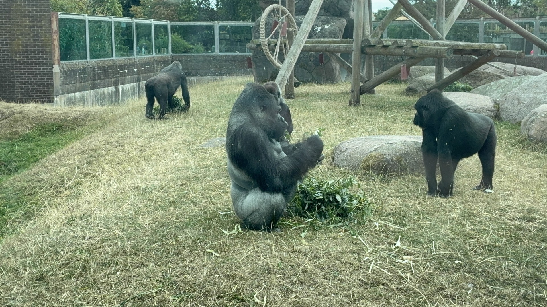 Youth Climate Workshop at Blackpool Zoo: Sustainability &amp; Conservation in Action!