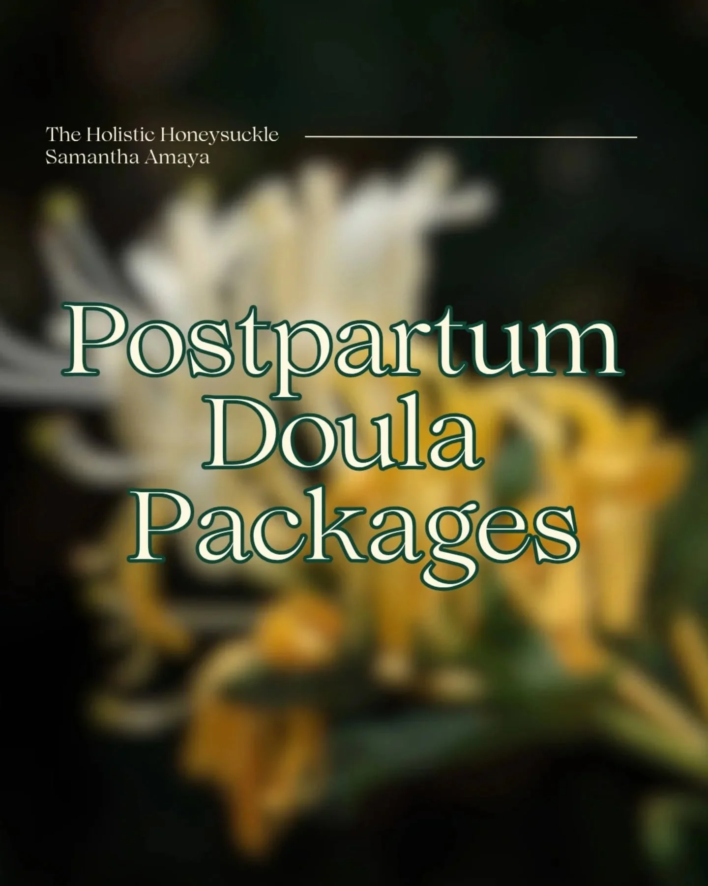 Updated 2026 Offerings✨❤️

DM or email me for:
🧺 Postpartum doula availability in Upstate SC
🫜 Perinatal meal services
🤱🏼 Breastfeeding support now - virtually or in-person
💳 HSA/FSA accepted
📄 Super bills available for insurance reimbursement
