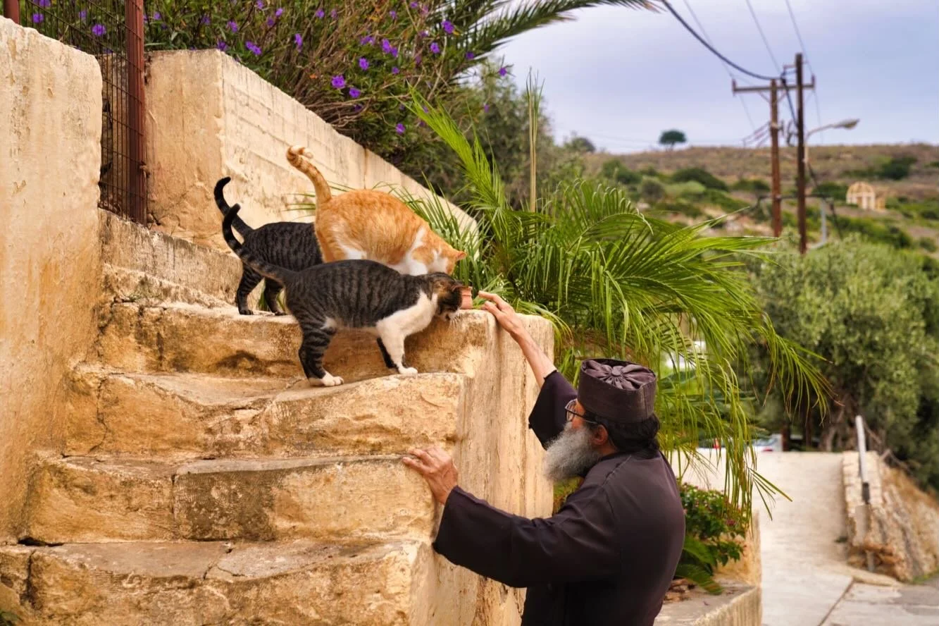 Greece 🇬🇷 

Thank you for the heart and belly filling times, I&rsquo;m already looking forward to the next time ✨

Special thanks to the amazing people who made my time there so special, S&rsquo;agapo Poly ❤️

#greece #crete #mediterranean #greek