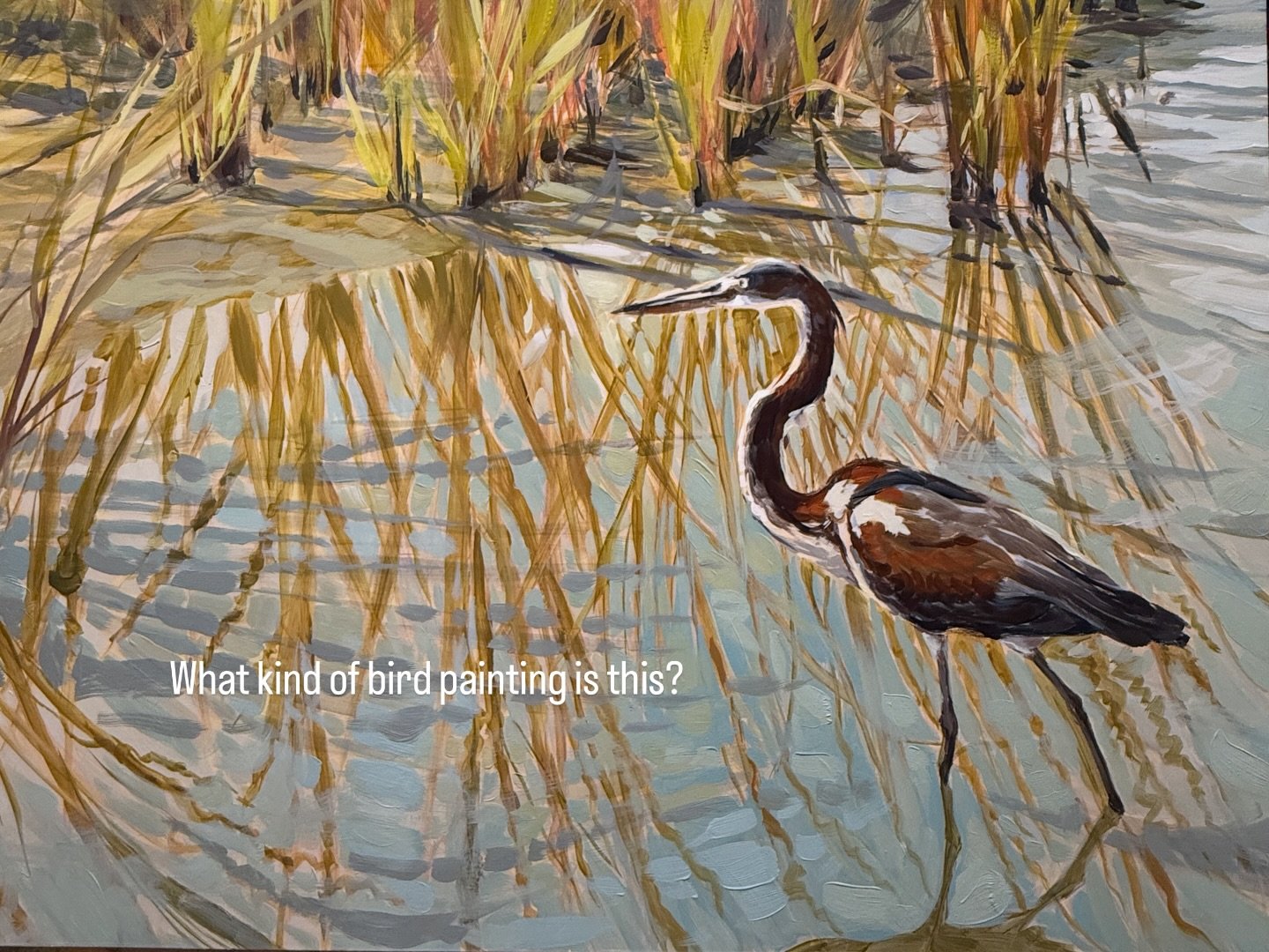 What kind of bird is this? I started painting this little guy and I&rsquo;m not sure I&rsquo;ve ever seen one before. He&rsquo;s quite beautiful and his coloring is remarkable. If you know, tell me in the comments! #floridabirds #floridawildlife #flo